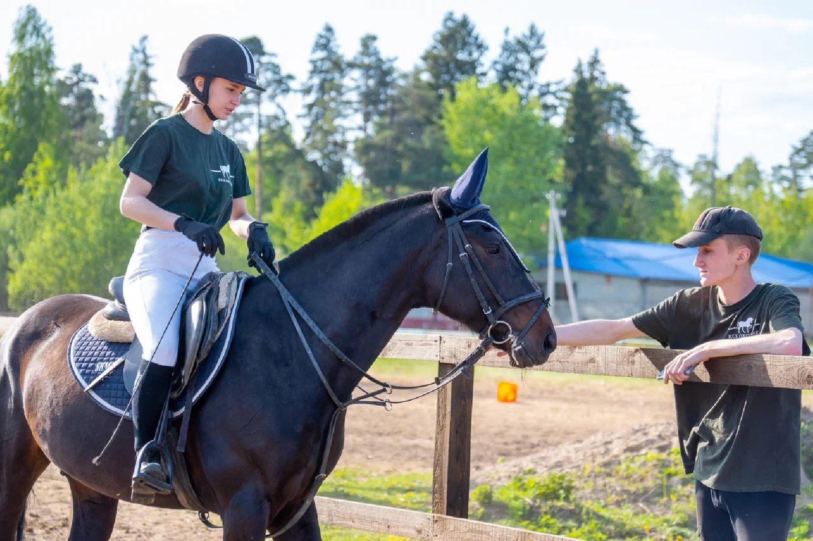 Конкур, лошади, спорт, конный спорт, КСК