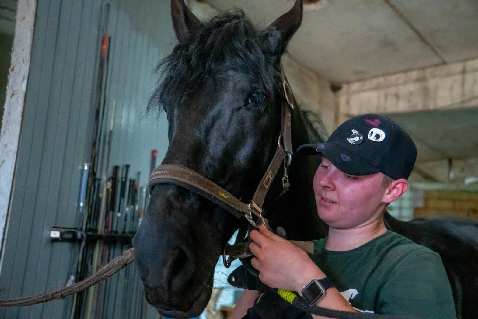 Конкур, лошади, спорт, конный спорт, КСК