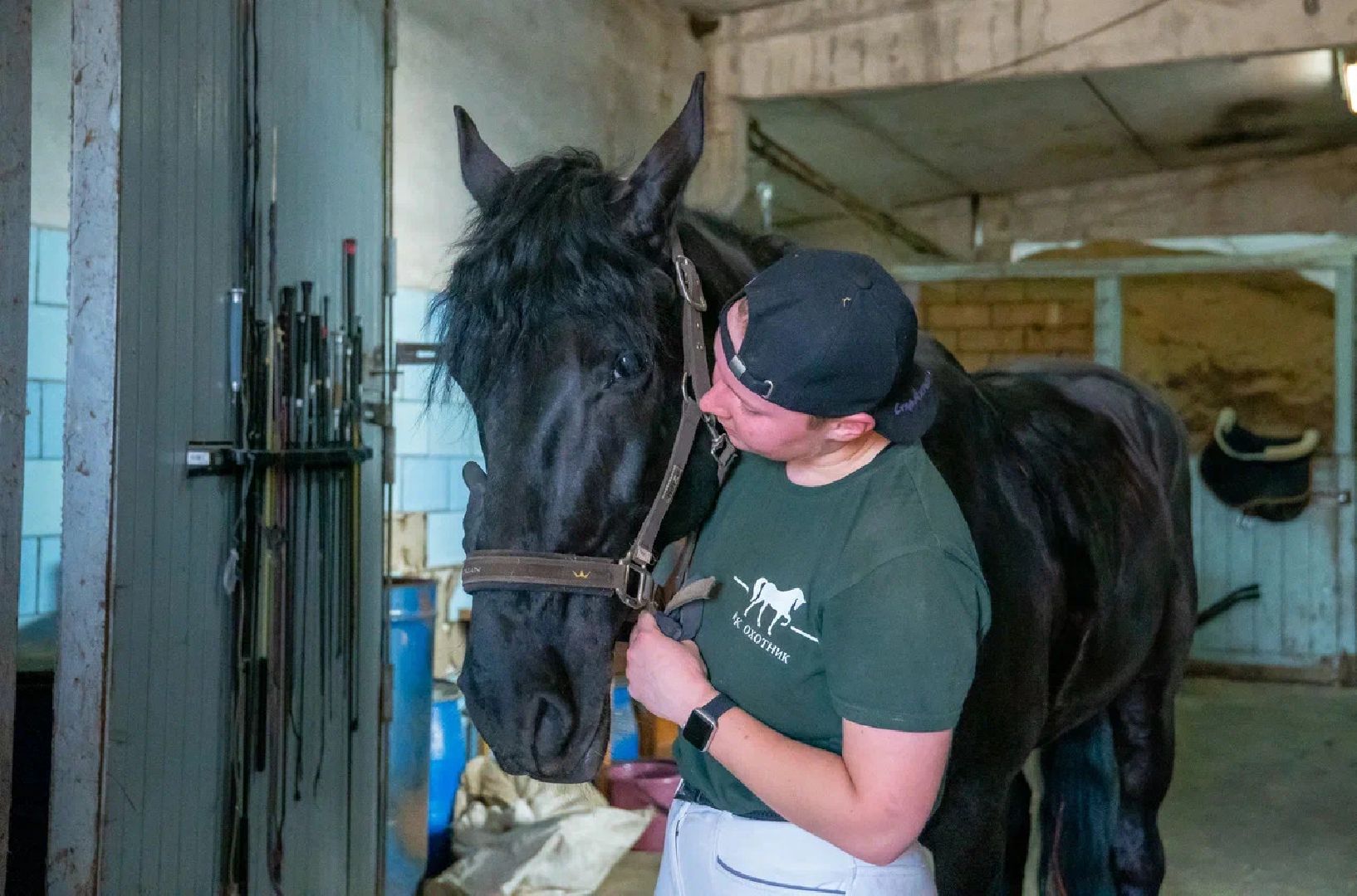 Конкур, лошади, спорт, конный спорт, КСК