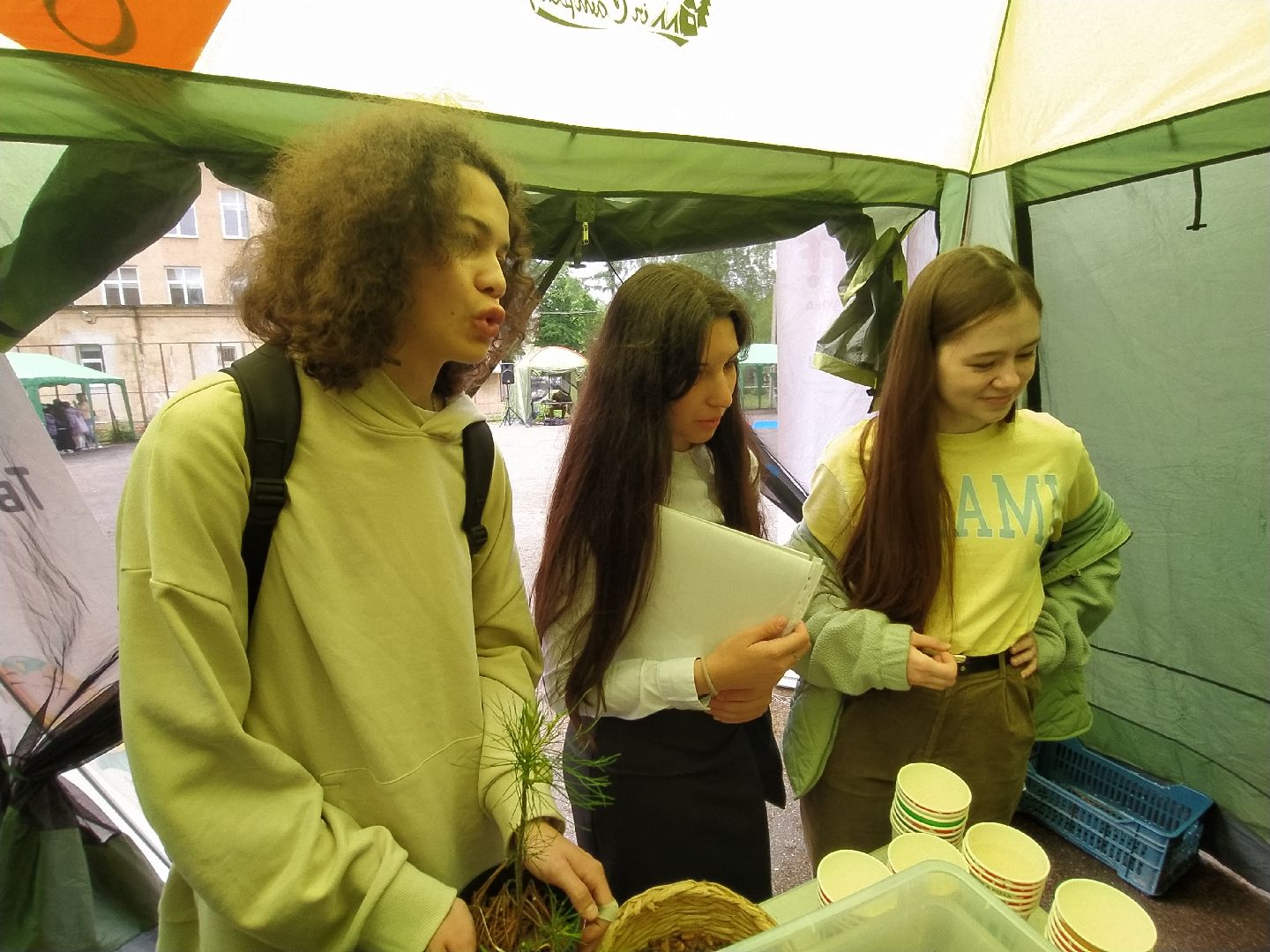 ЭКОфестиваль, деревья, кедр, экология