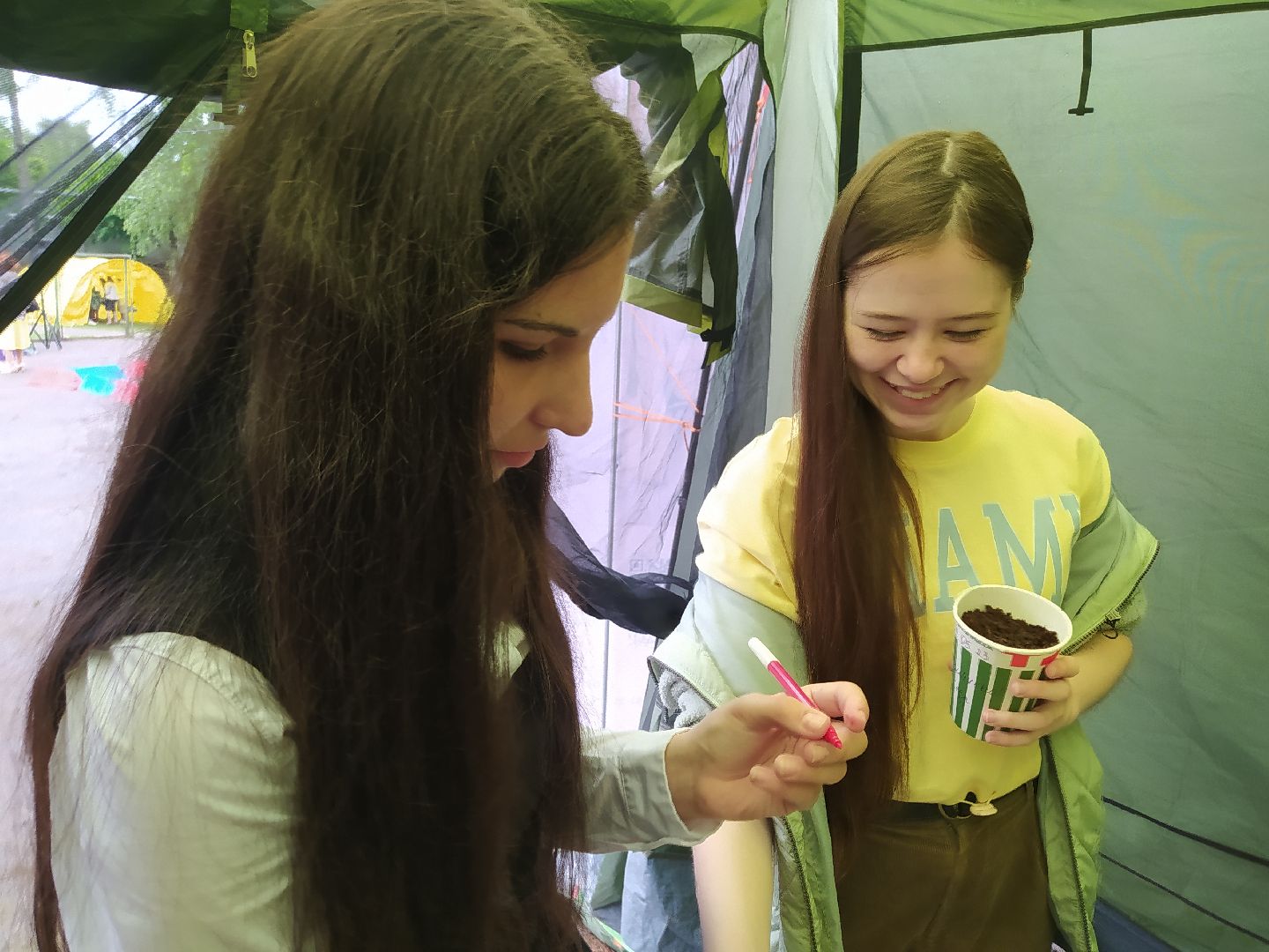 ЭКОфестиваль, деревья, кедр, экология