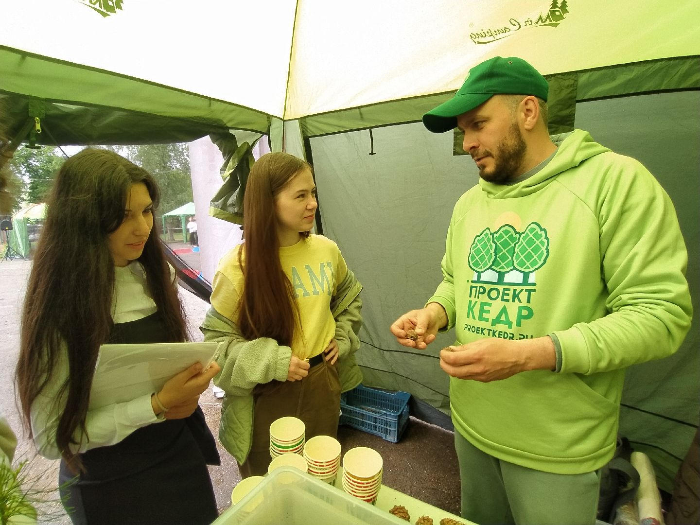 ЭКОфестиваль, деревья, кедр, экология