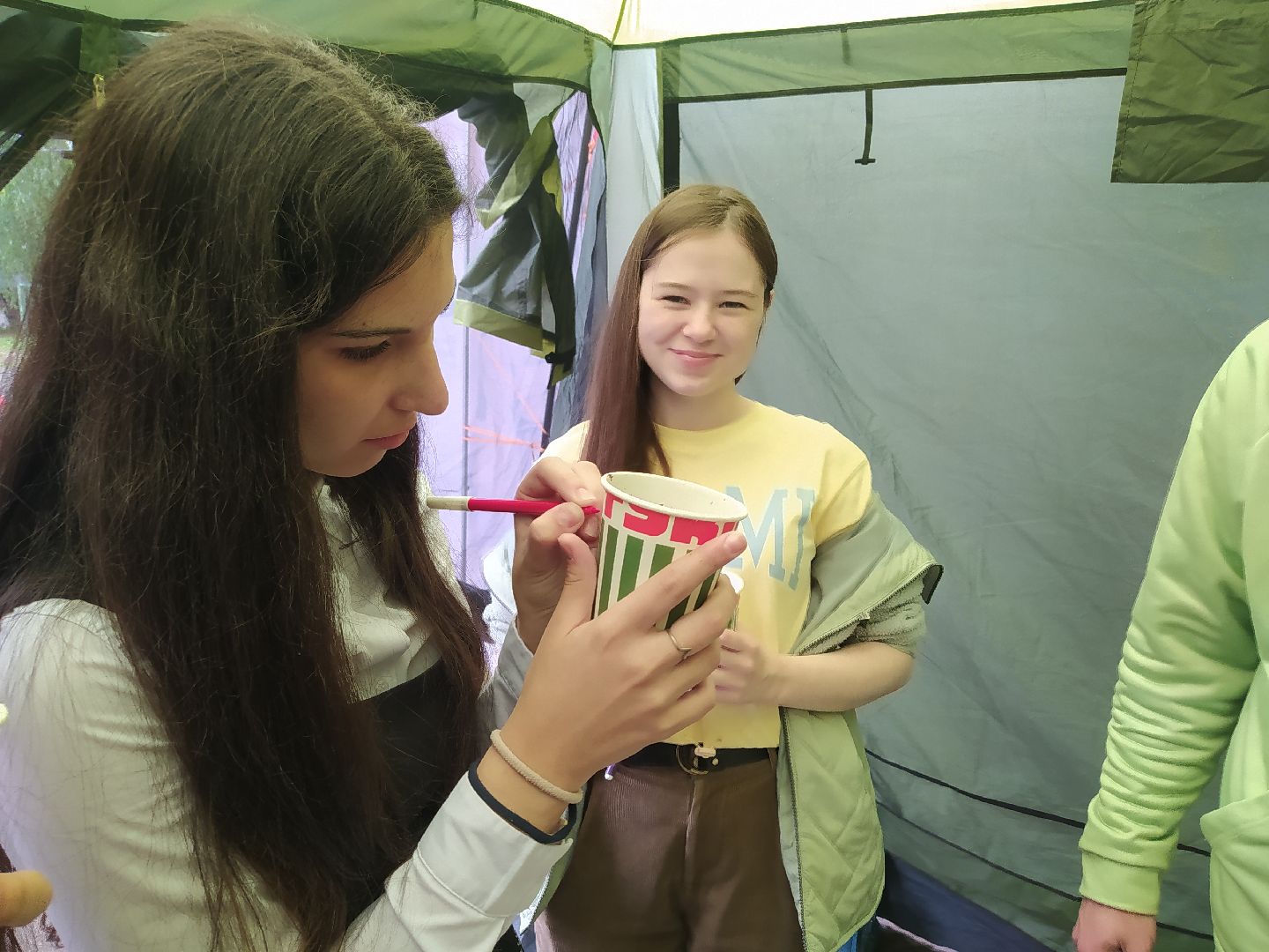 ЭКОфестиваль, деревья, кедр, экология