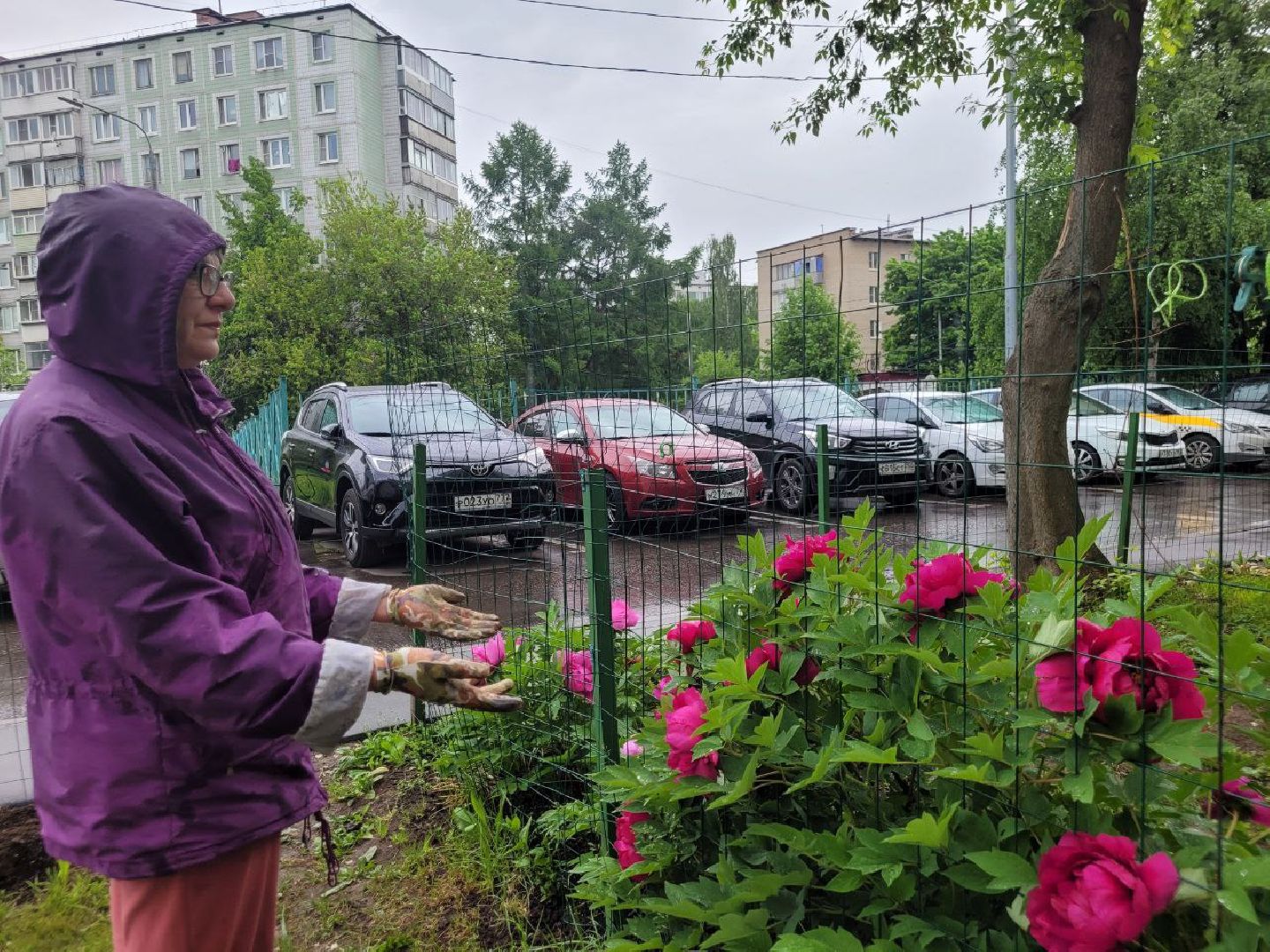 люди; добро; сад; добрые дела