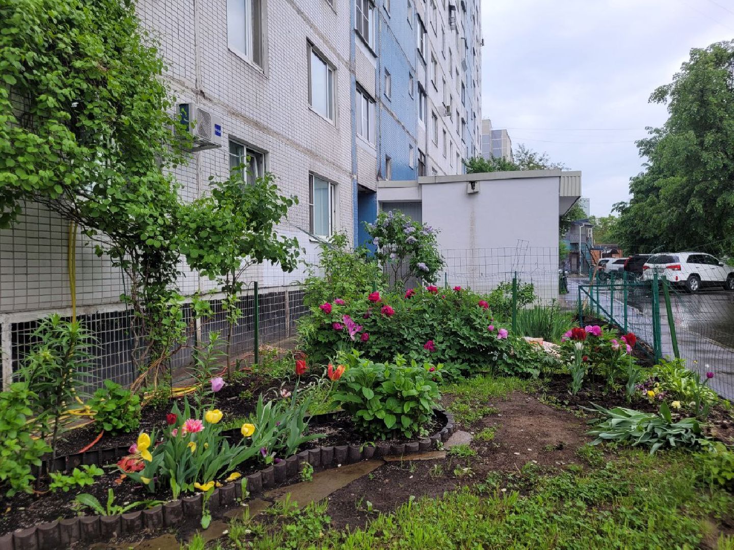 люди; добро; сад; добрые дела