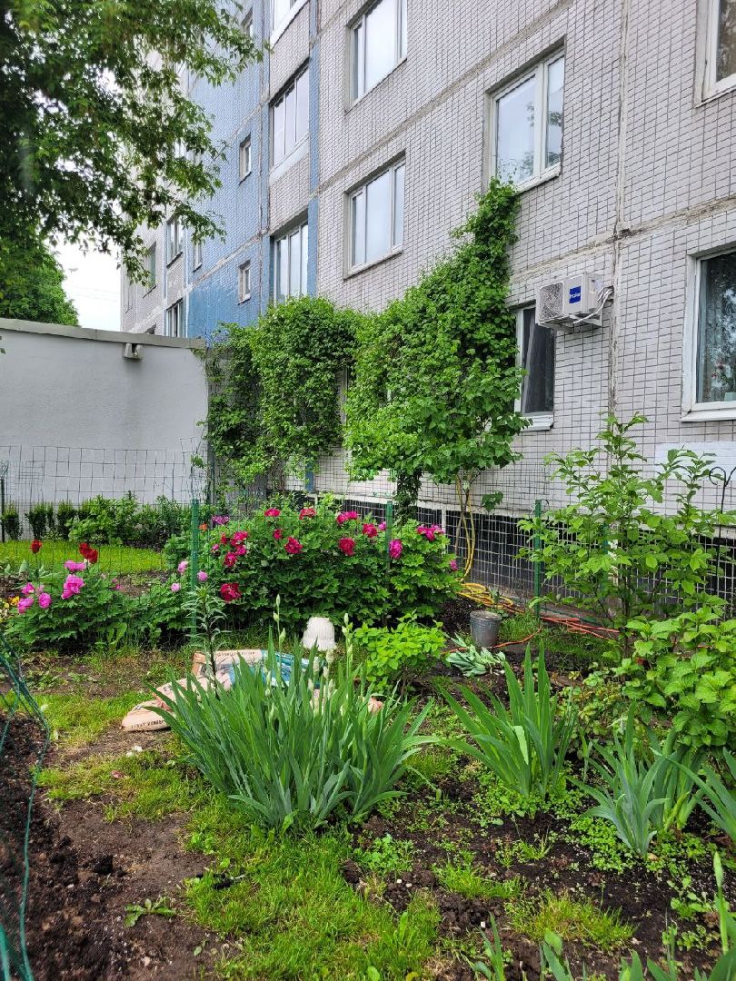 люди; добро; сад; добрые дела