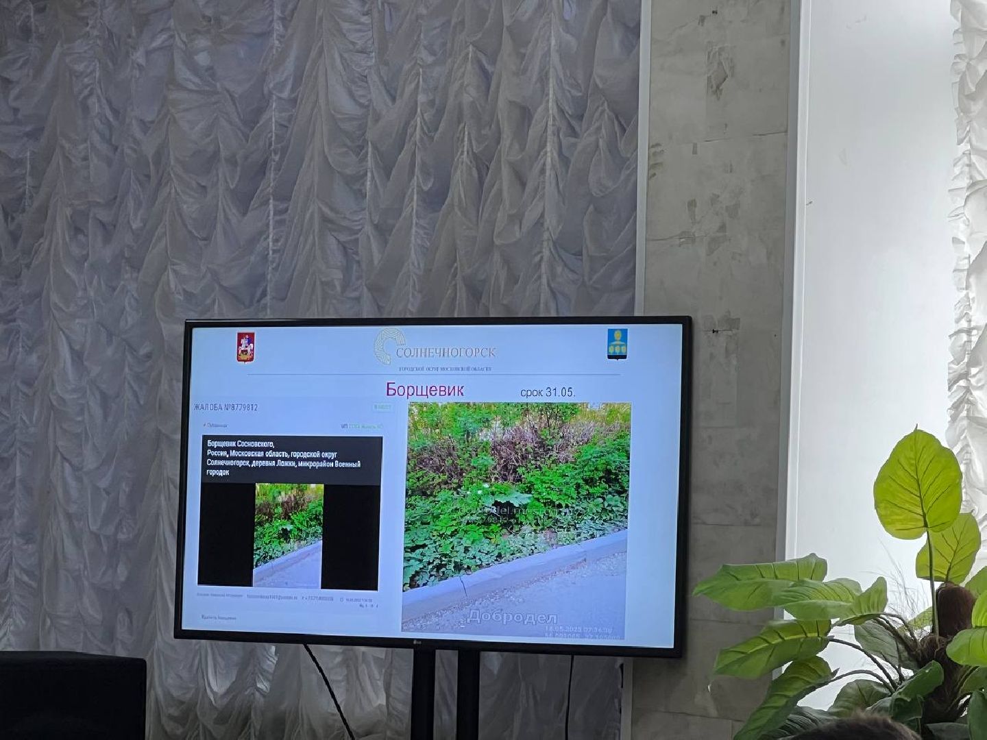 Солнечногорск, благоустройство, пешковское, жители, добродел