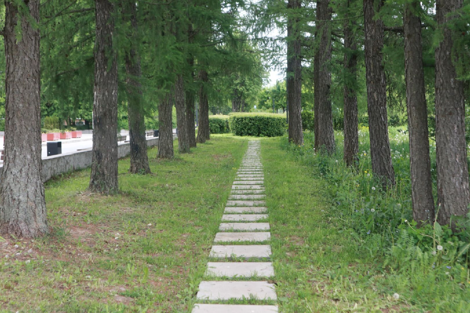 Пущино, благоустройство