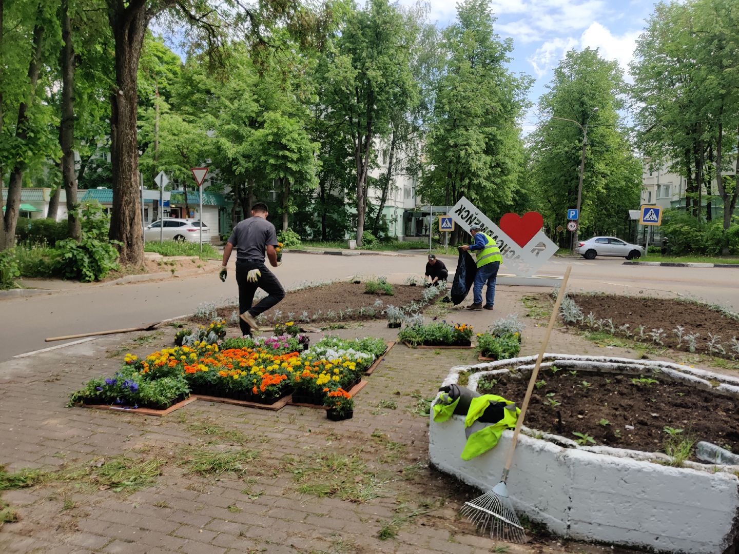 Красноармейск, Пушкинский, благоустройство, клумбы, цветы