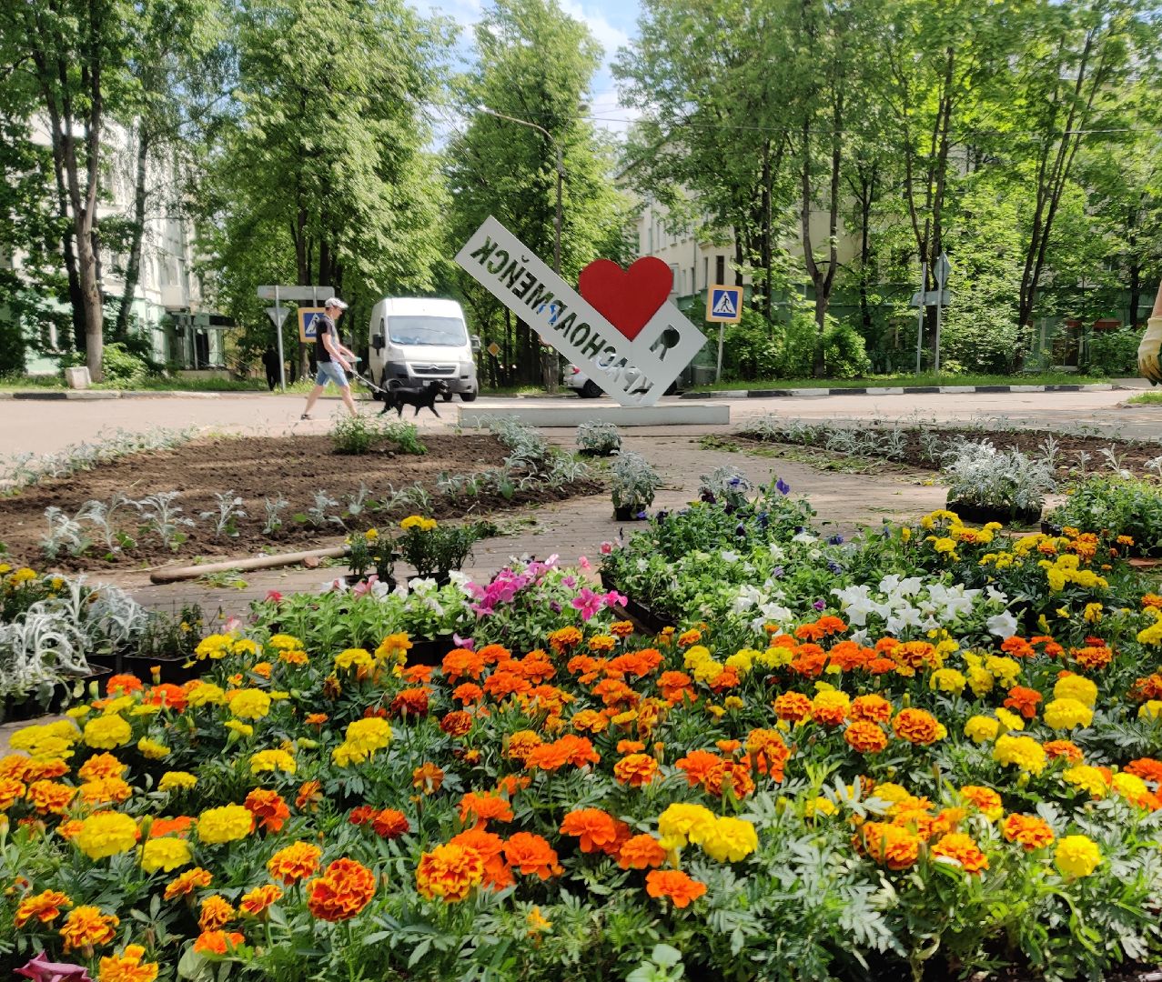 Красноармейск, Пушкинский, благоустройство, клумбы, цветы