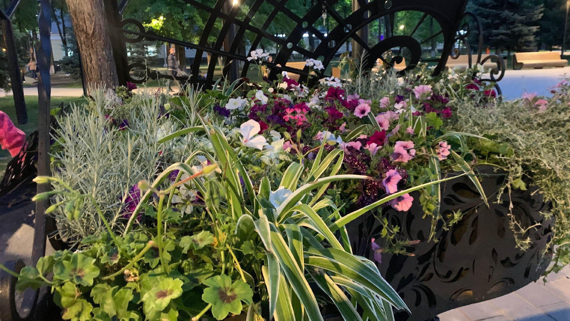 Ступино, благоустройство, рояль