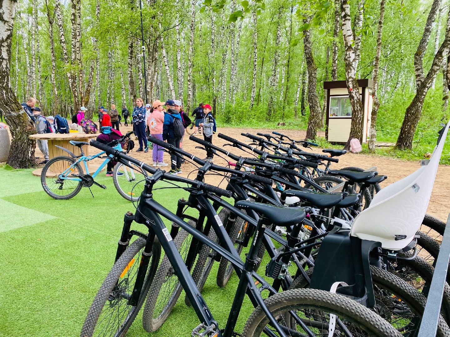 Домодедово, парк, велопрокат