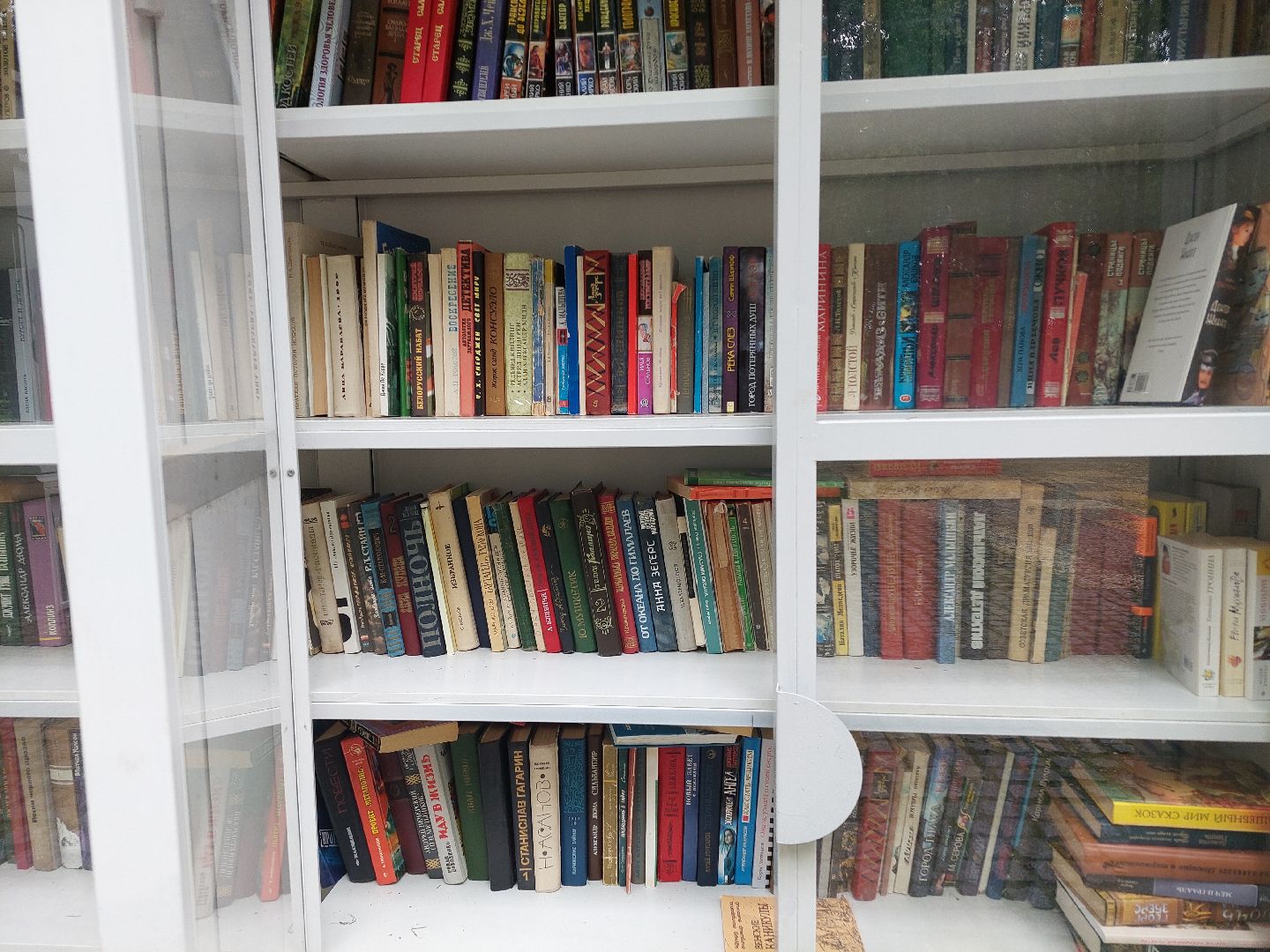 букроссинг, парки Подмосковья, парк Кривякино, общество