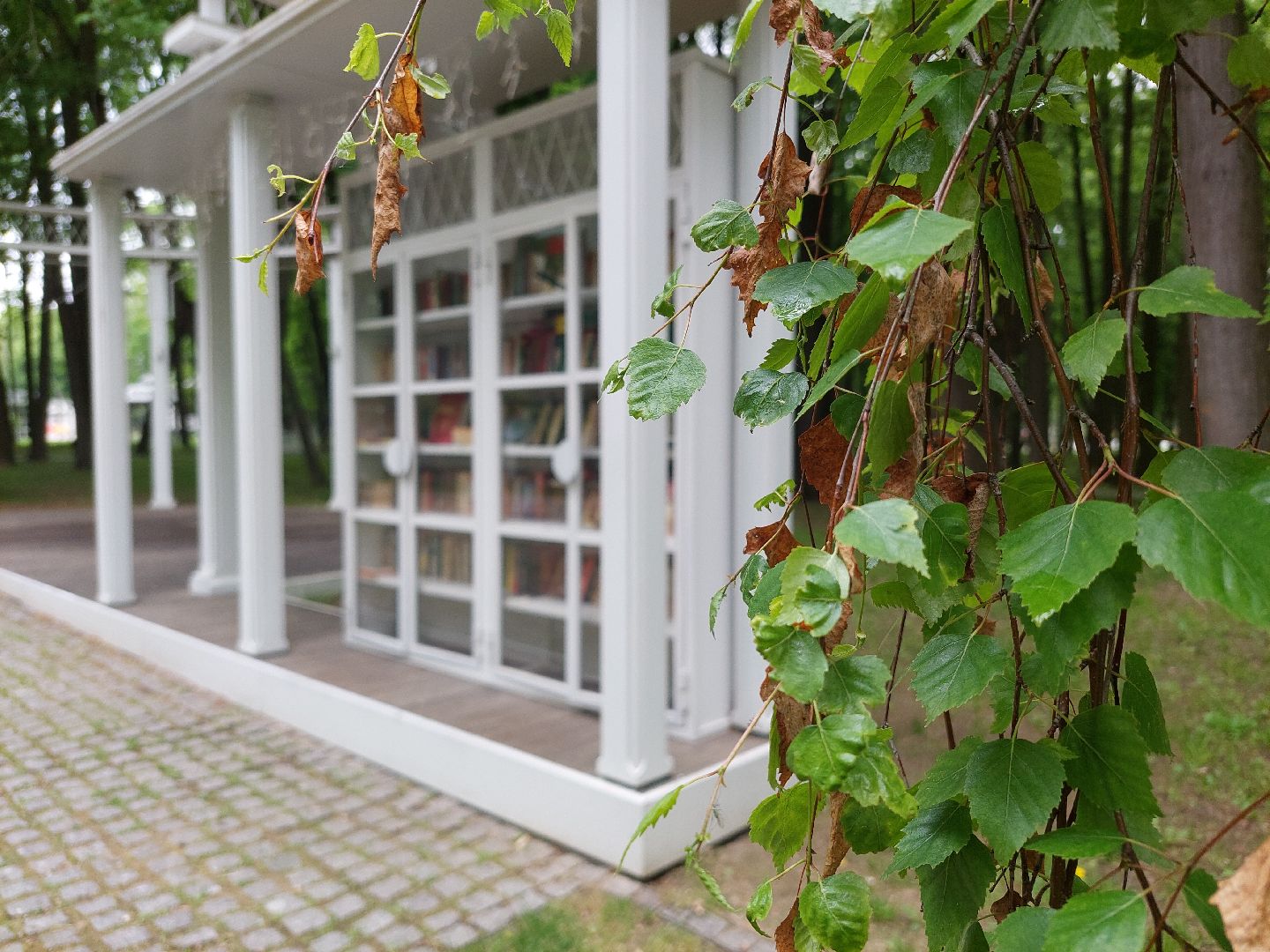 букроссинг, парки Подмосковья, парк Кривякино, общество