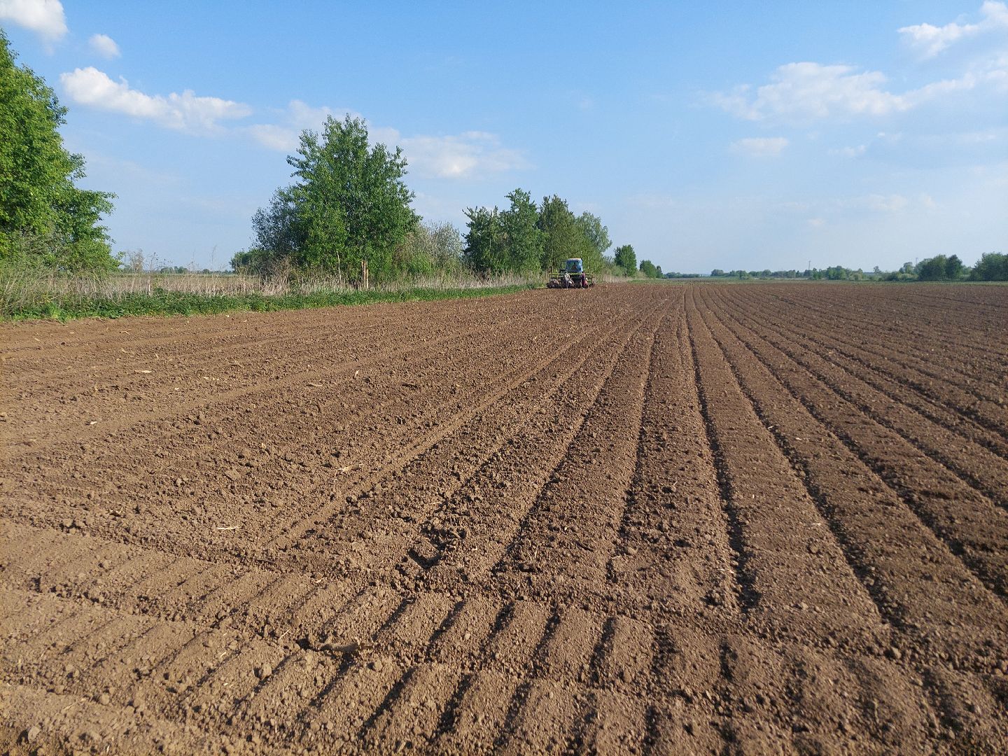 сельское хозяйство, Воскресенск, экономика, урожай