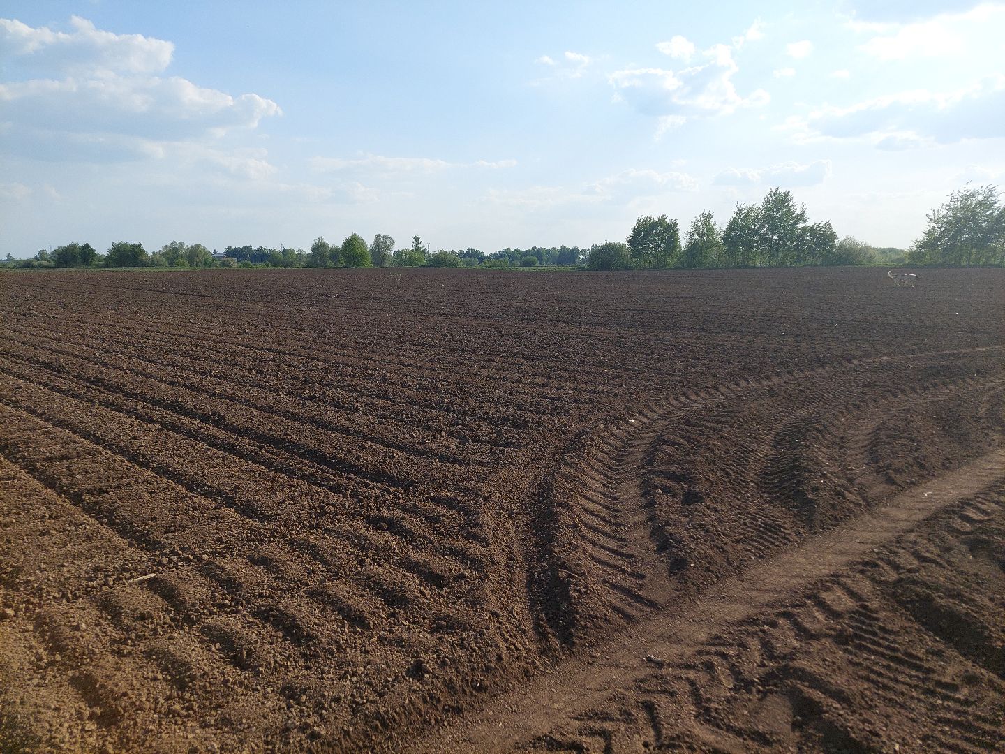 сельское хозяйство, Воскресенск, экономика, урожай