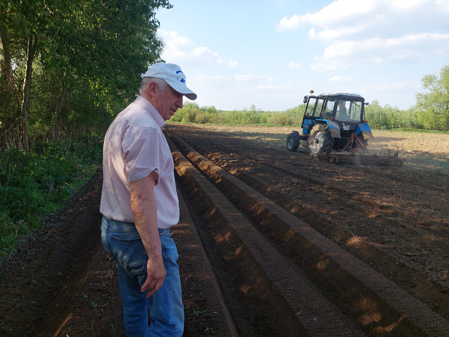 сельское хозяйство, Воскресенск, экономика, урожай