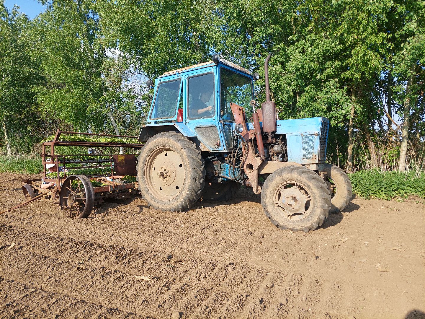сельское хозяйство, Воскресенск, экономика, урожай