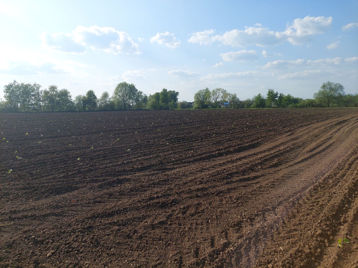 сельское хозяйство, Воскресенск, экономика, урожай
