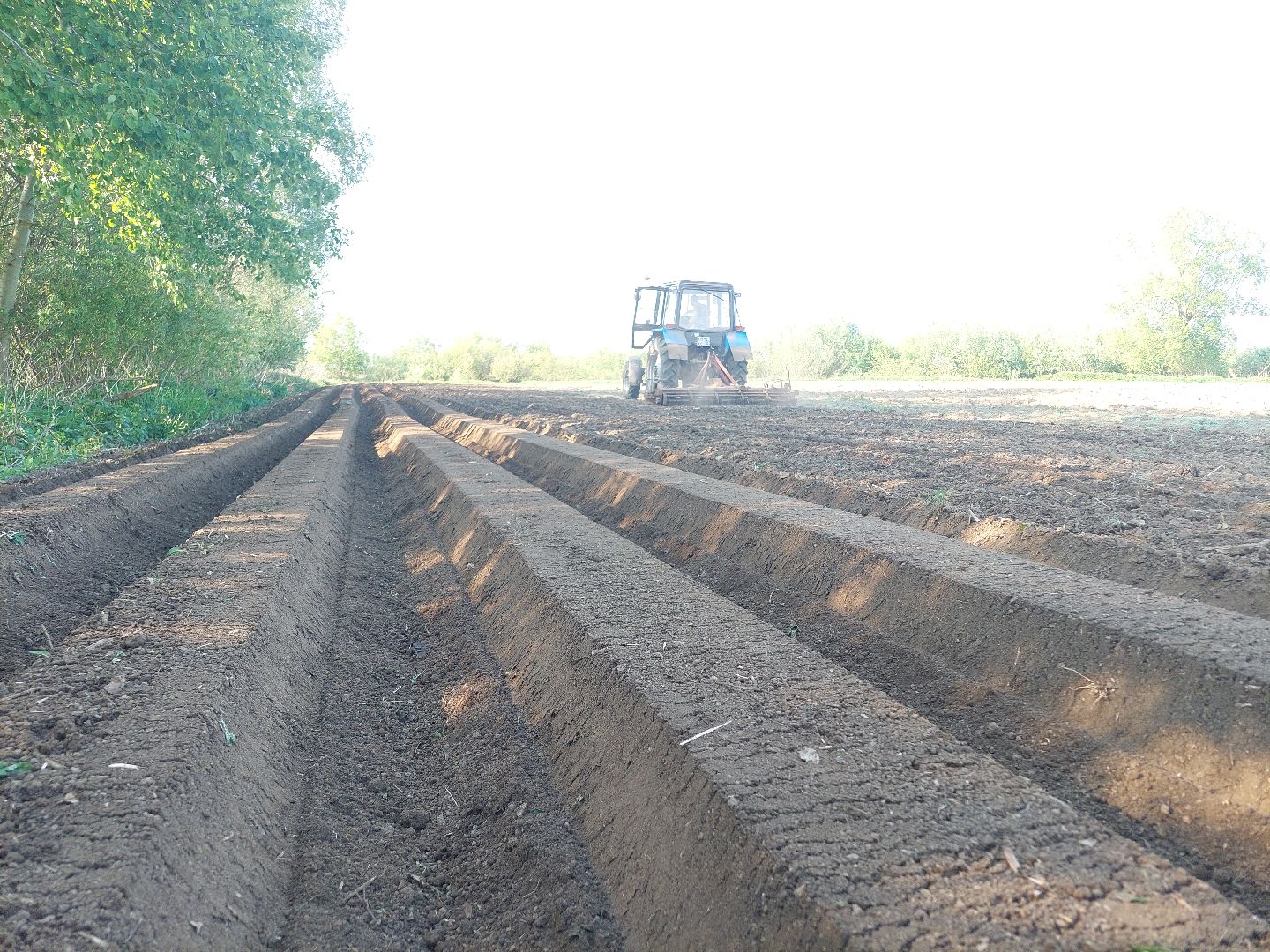 сельское хозяйство, Воскресенск, экономика, урожай
