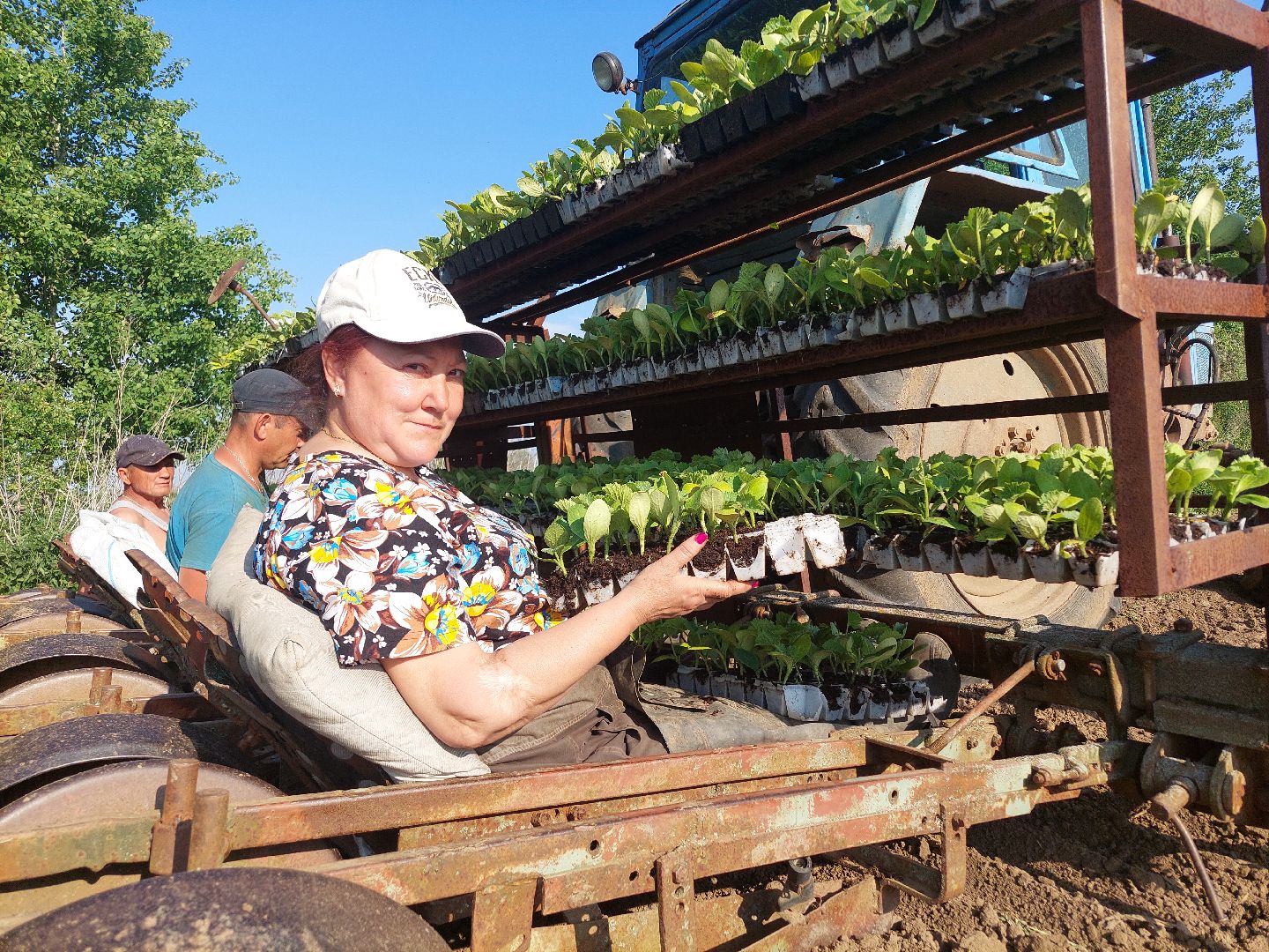 сельское хозяйство, Воскресенск, экономика, урожай