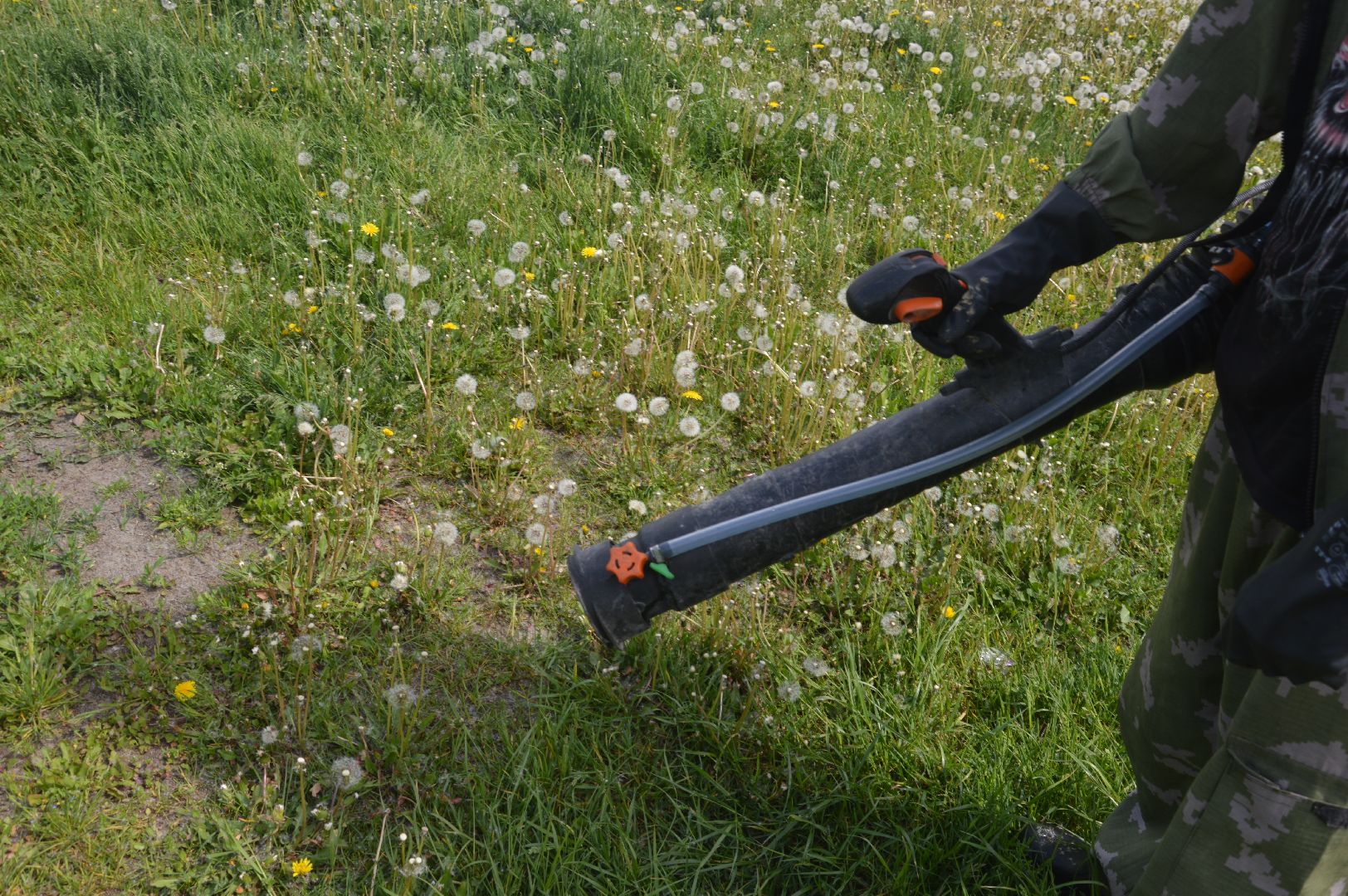 Шатура, клещи, обработка, санитарная обработка зон отдыха.