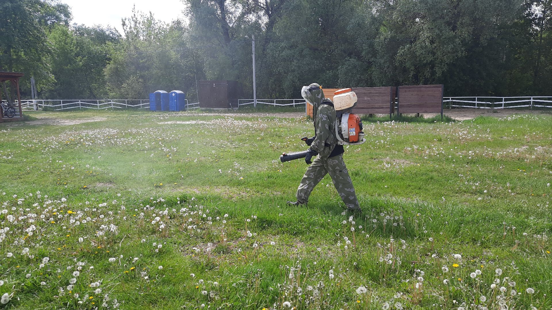 Шатура, клещи, обработка, санитарная обработка зон отдыха.