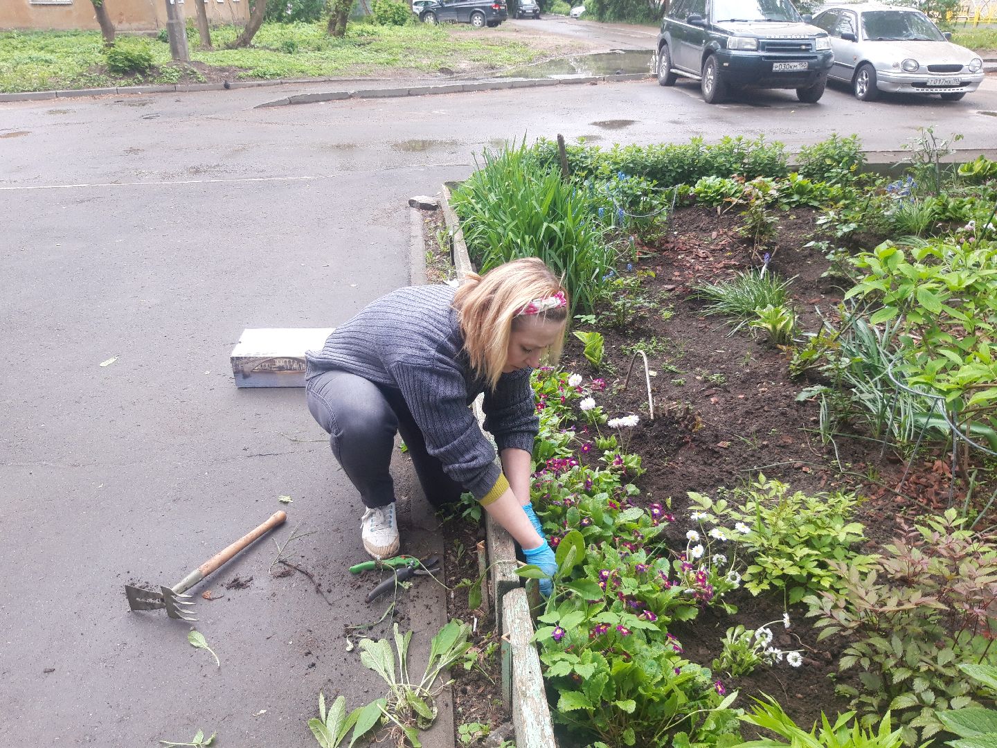 двор, доброе дело,