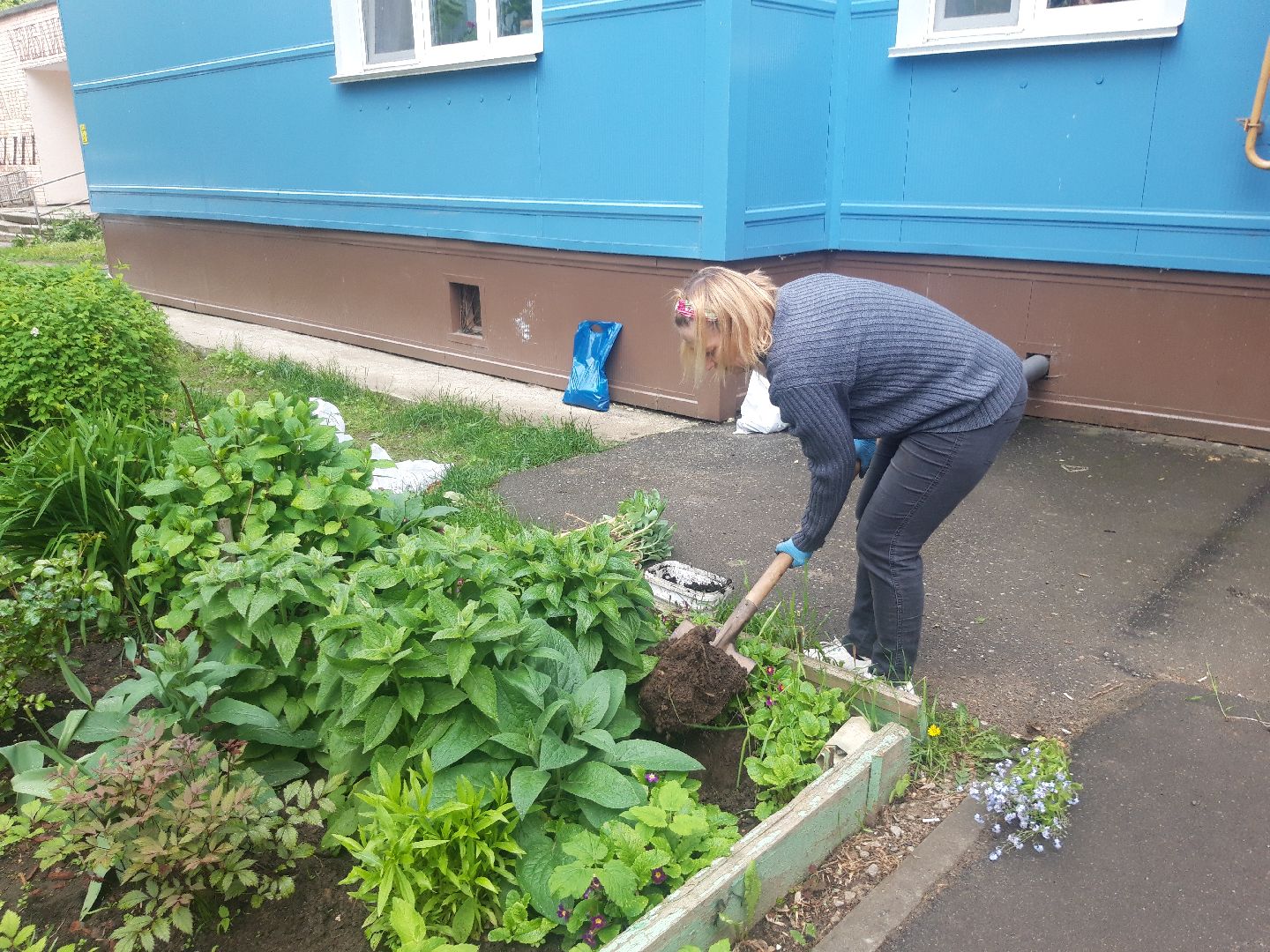 двор, доброе дело,