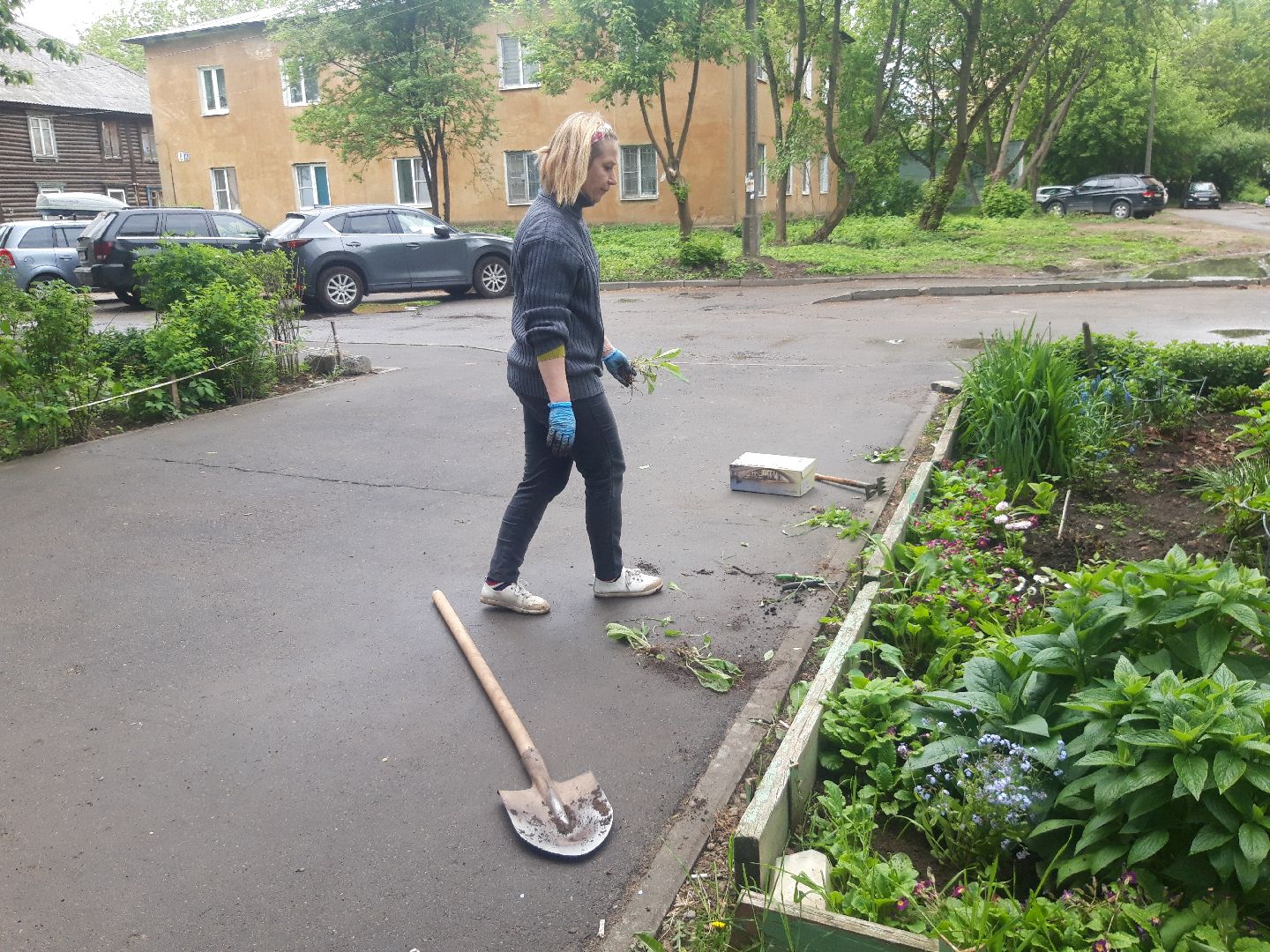 двор, доброе дело,