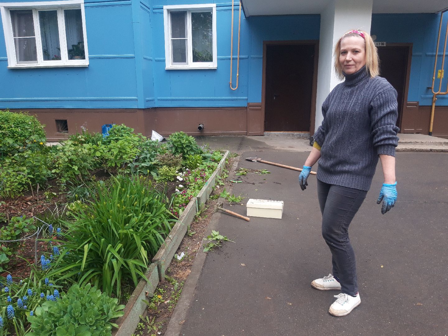 двор, доброе дело,