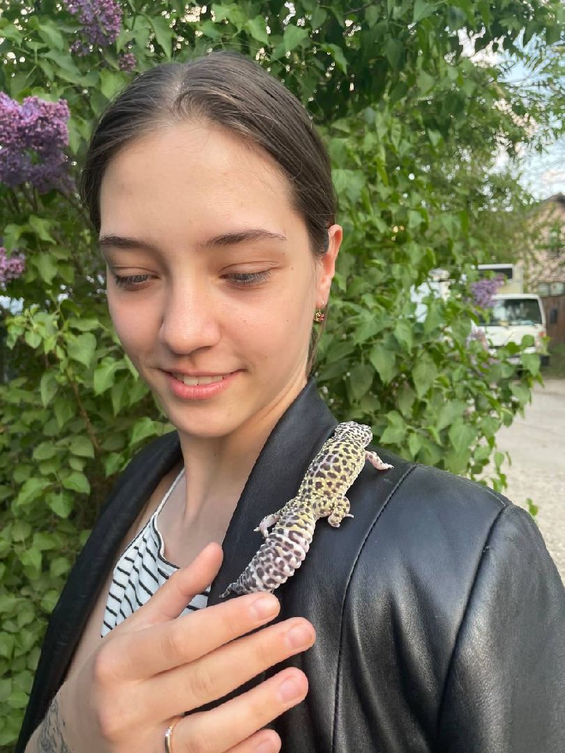 Подмосковье, Ивантеевка, общество