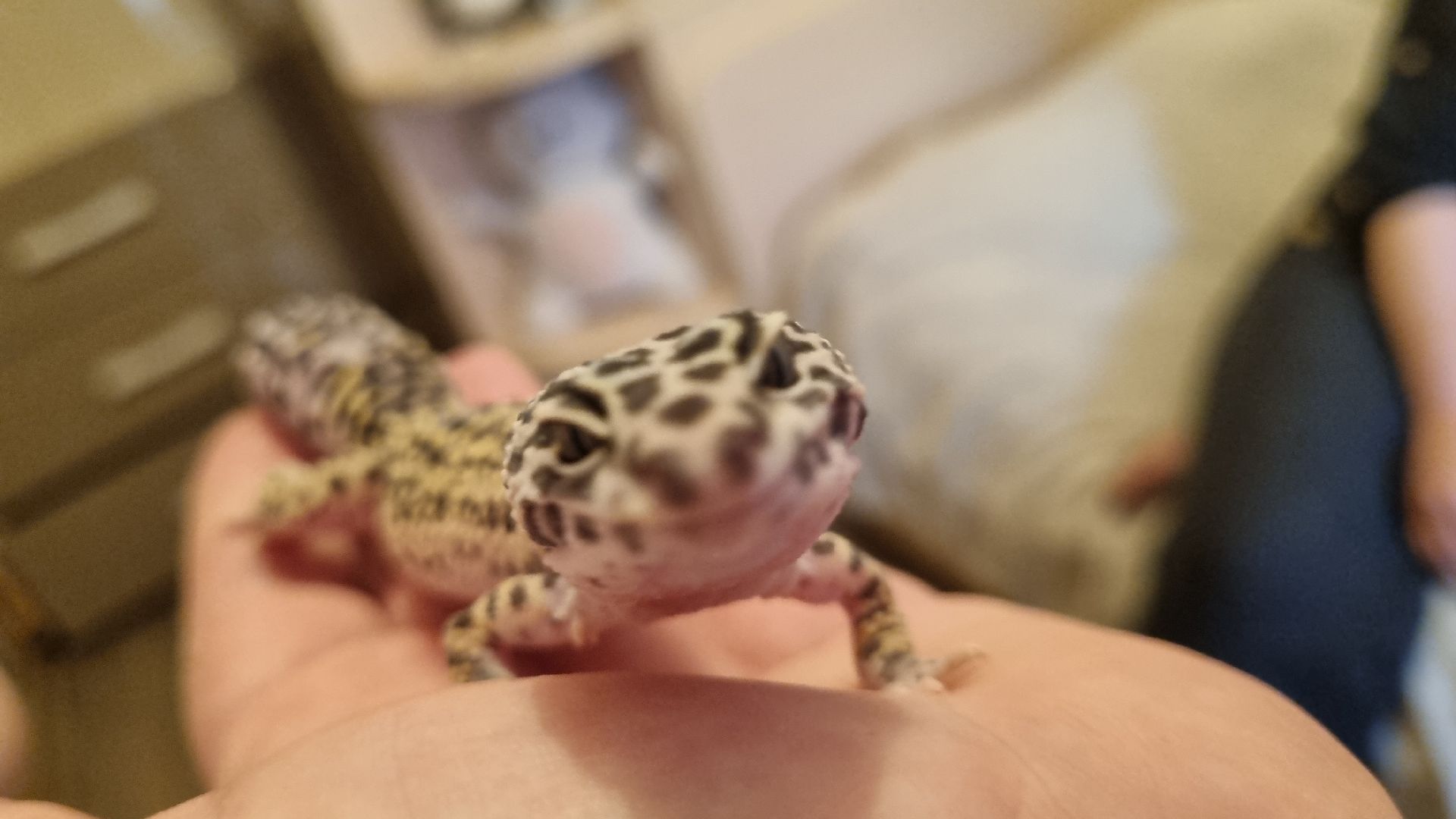 Подмосковье, Ивантеевка, общество