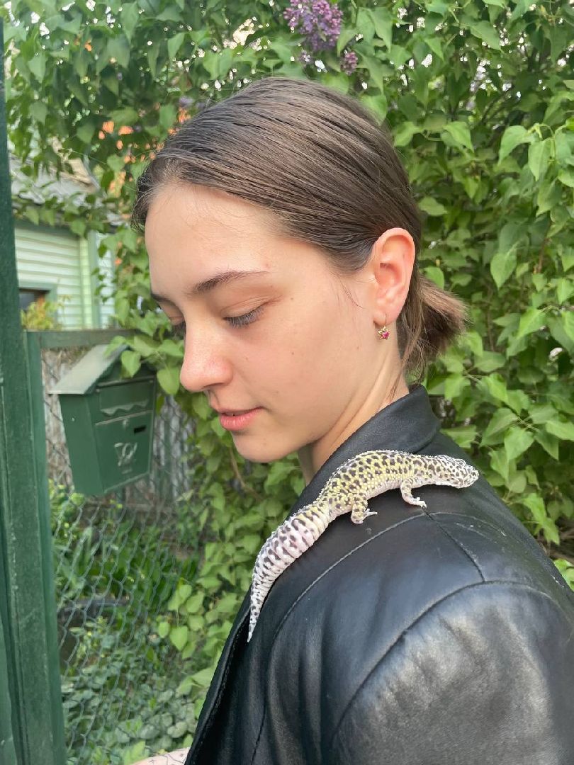 Подмосковье, Ивантеевка, общество