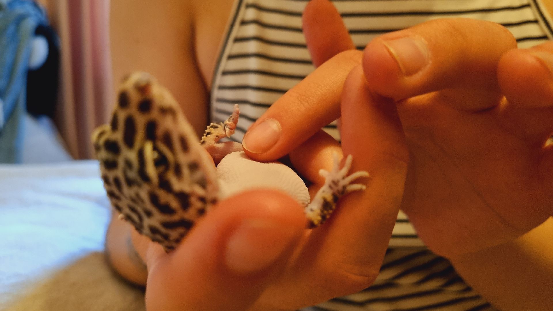 Подмосковье, Ивантеевка, общество