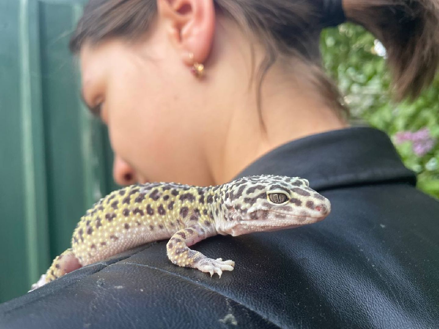 Подмосковье, Ивантеевка, общество