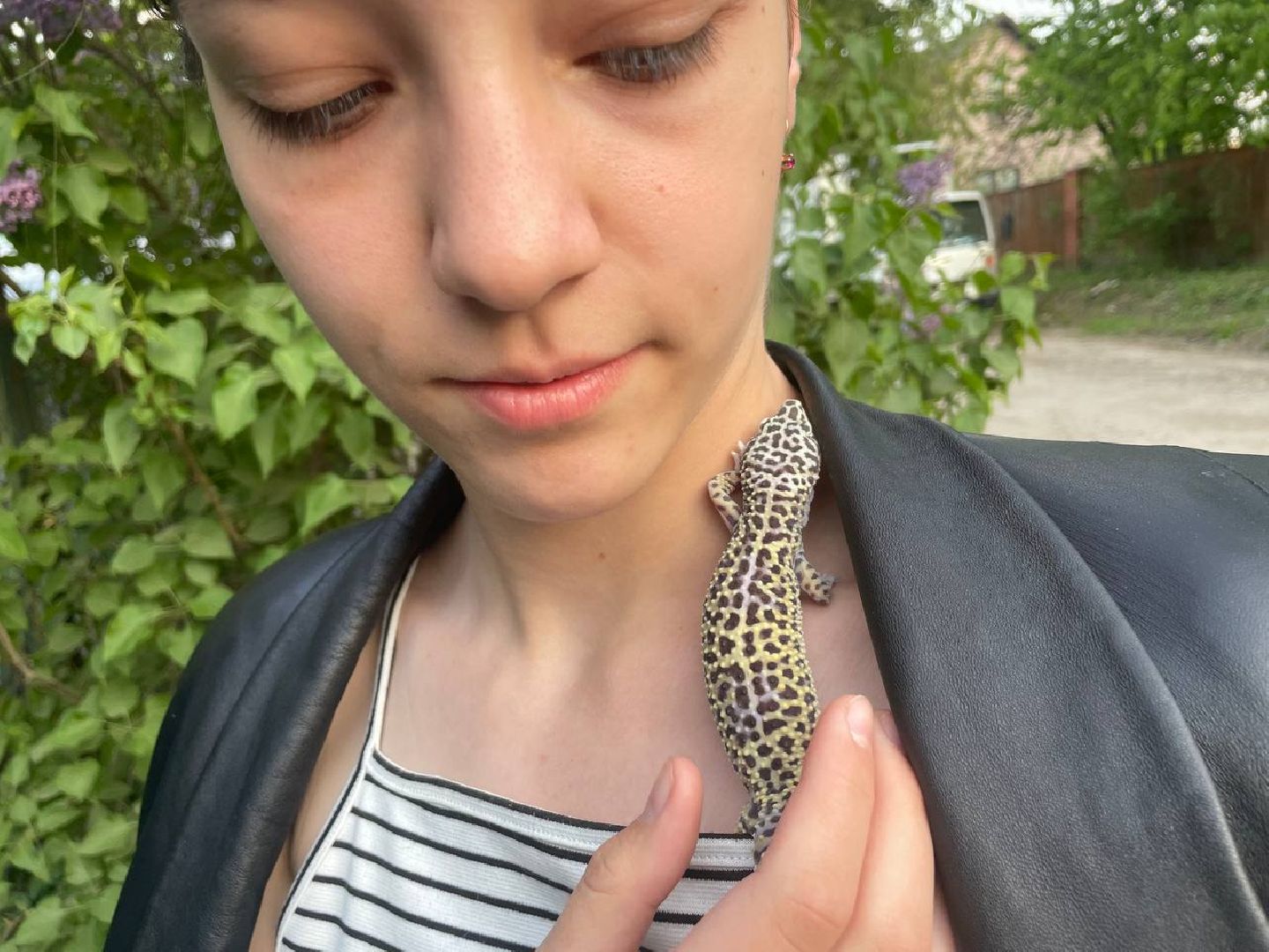 Подмосковье, Ивантеевка, общество