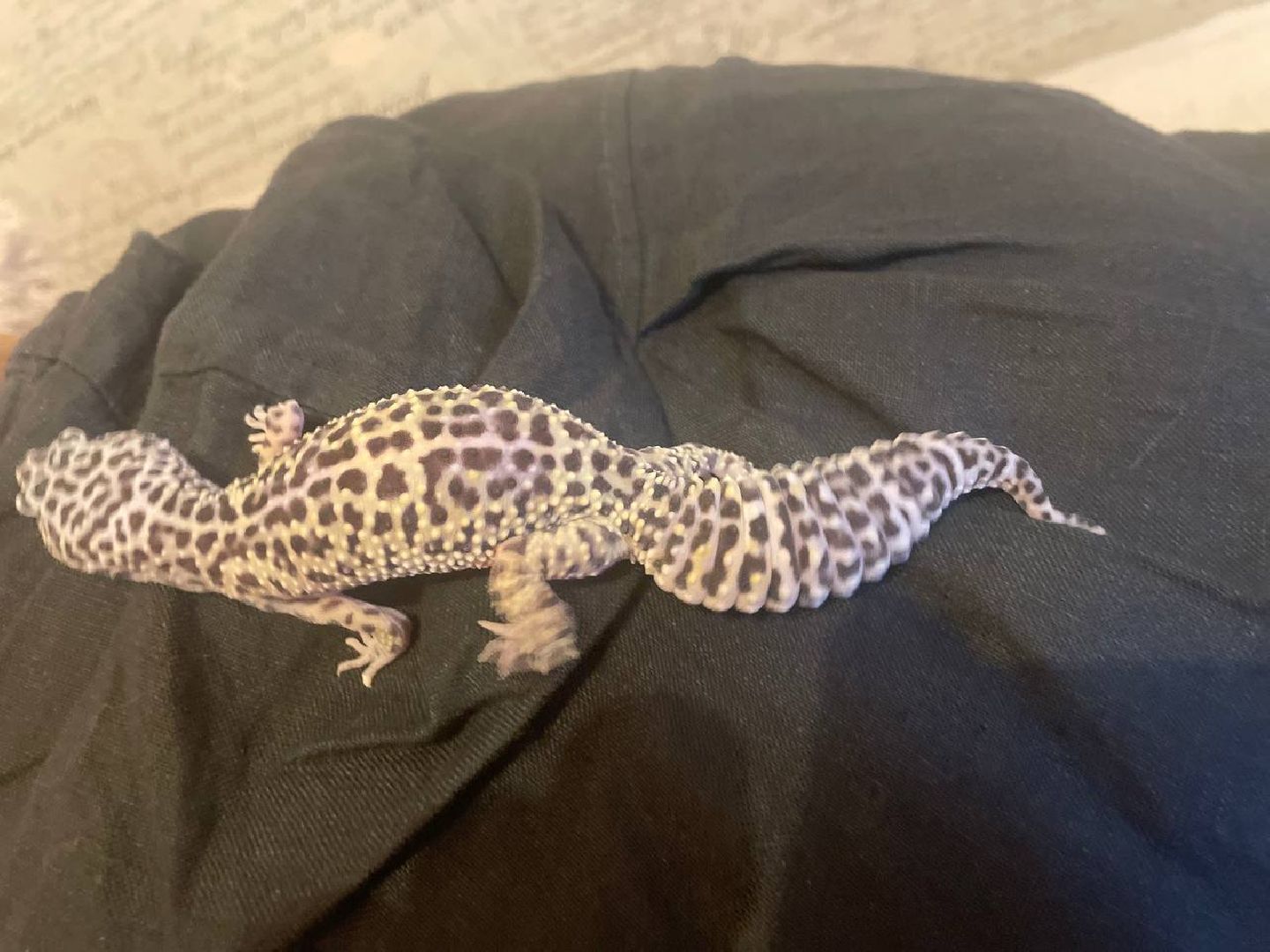 Подмосковье, Ивантеевка, общество