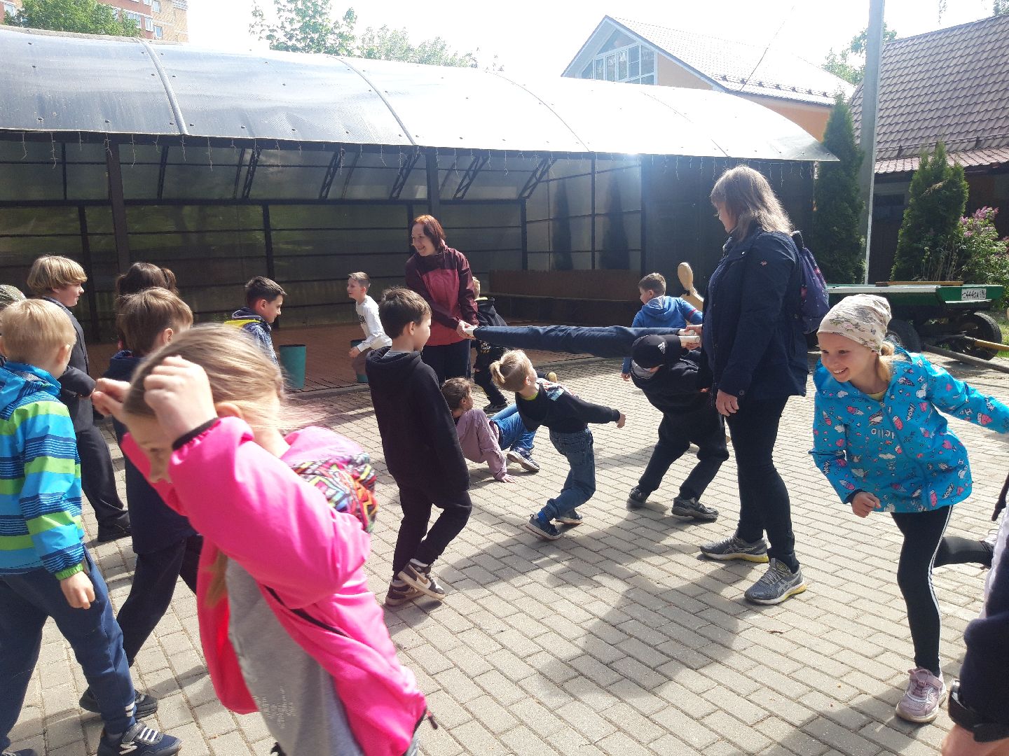 дети, школы,