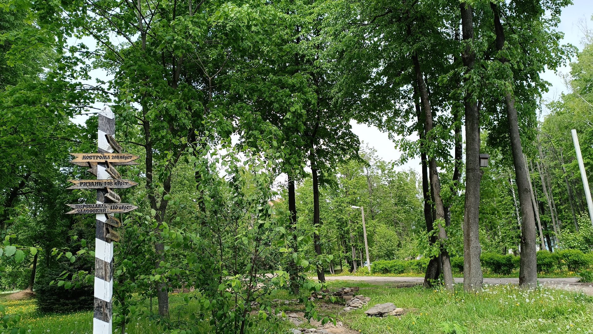 Лобня, благоустройство, парк, озеро