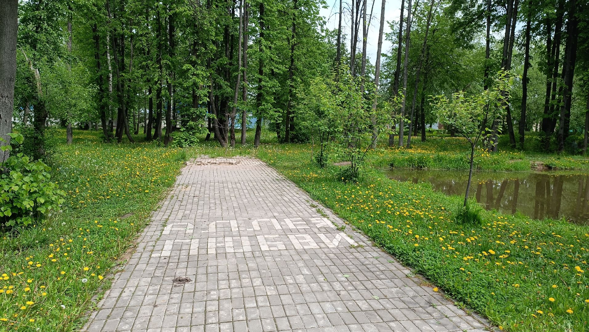 Лобня, благоустройство, парк, озеро