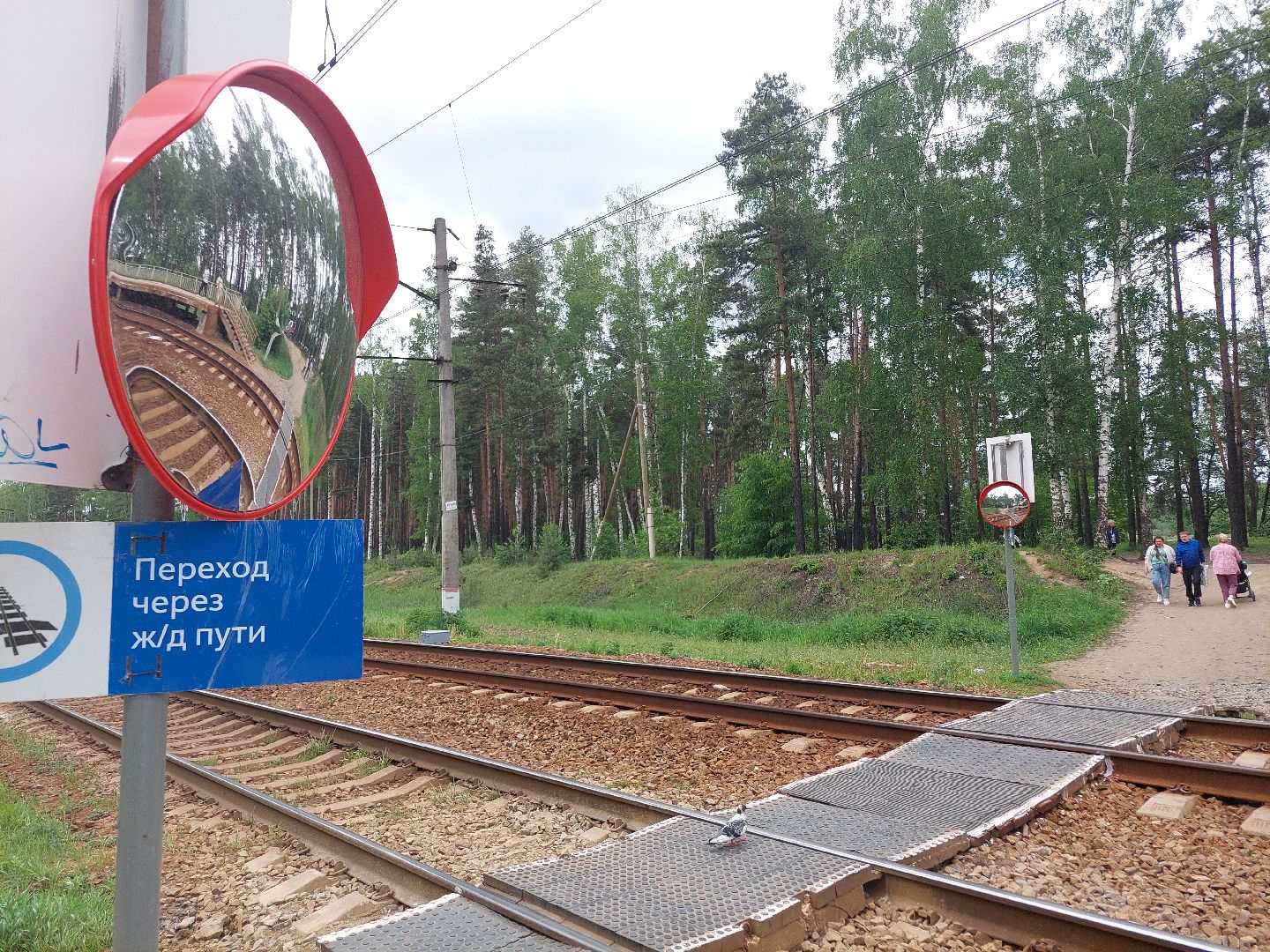 безопасность, железная дорога, общество, транспорт