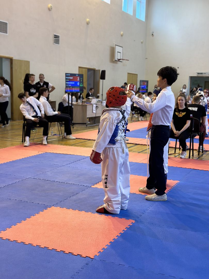 Балашиха, Подмосковье, спорт, тхэквондо, турниры