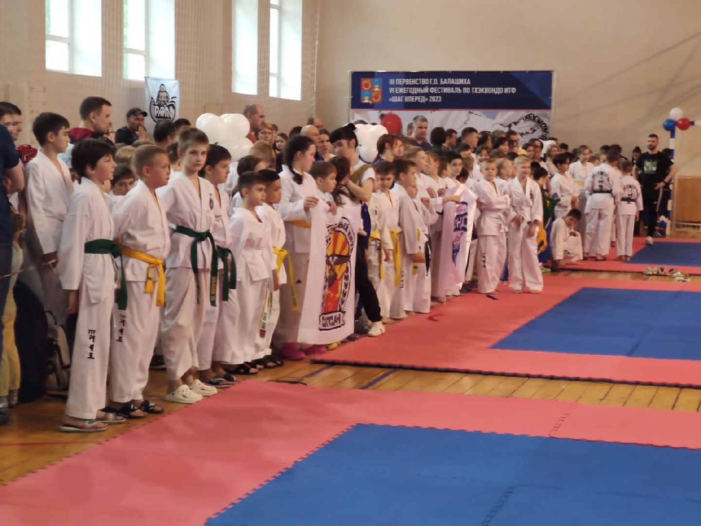 Балашиха, Подмосковье, спорт, тхэквондо, турниры