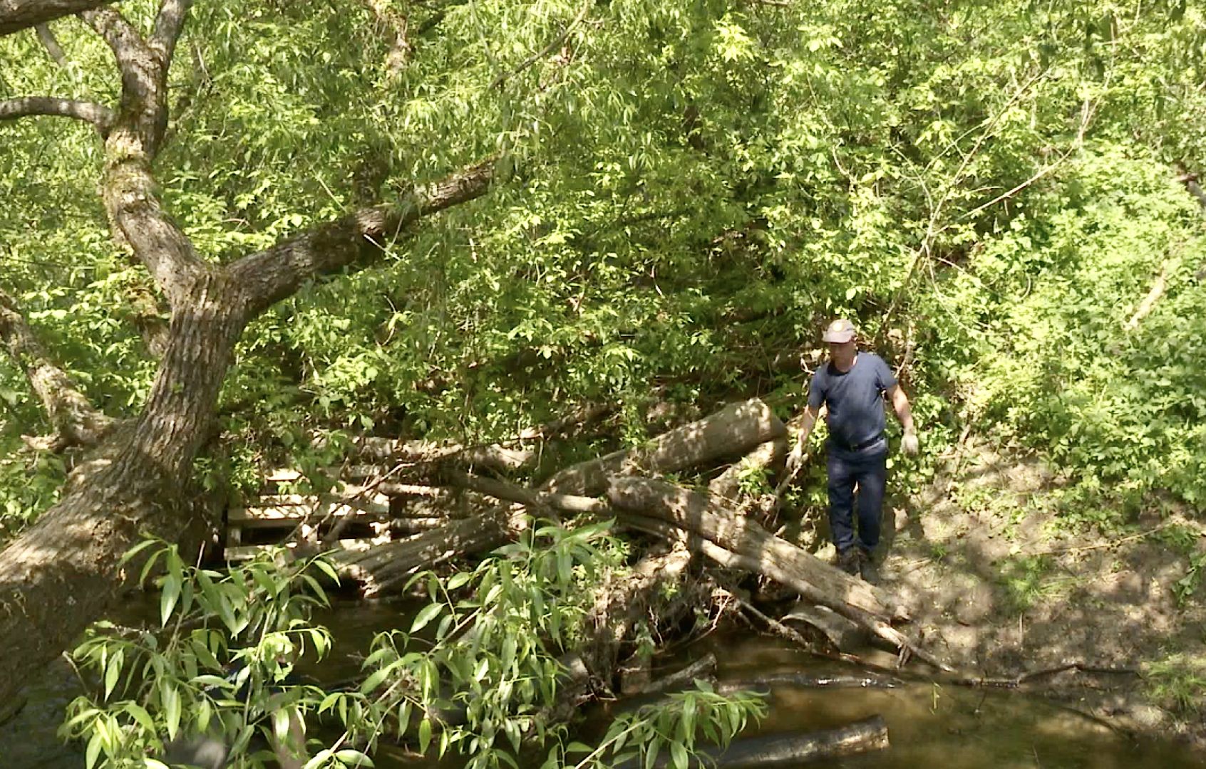 Клин, благоустройство, спасатели, расчистка рек