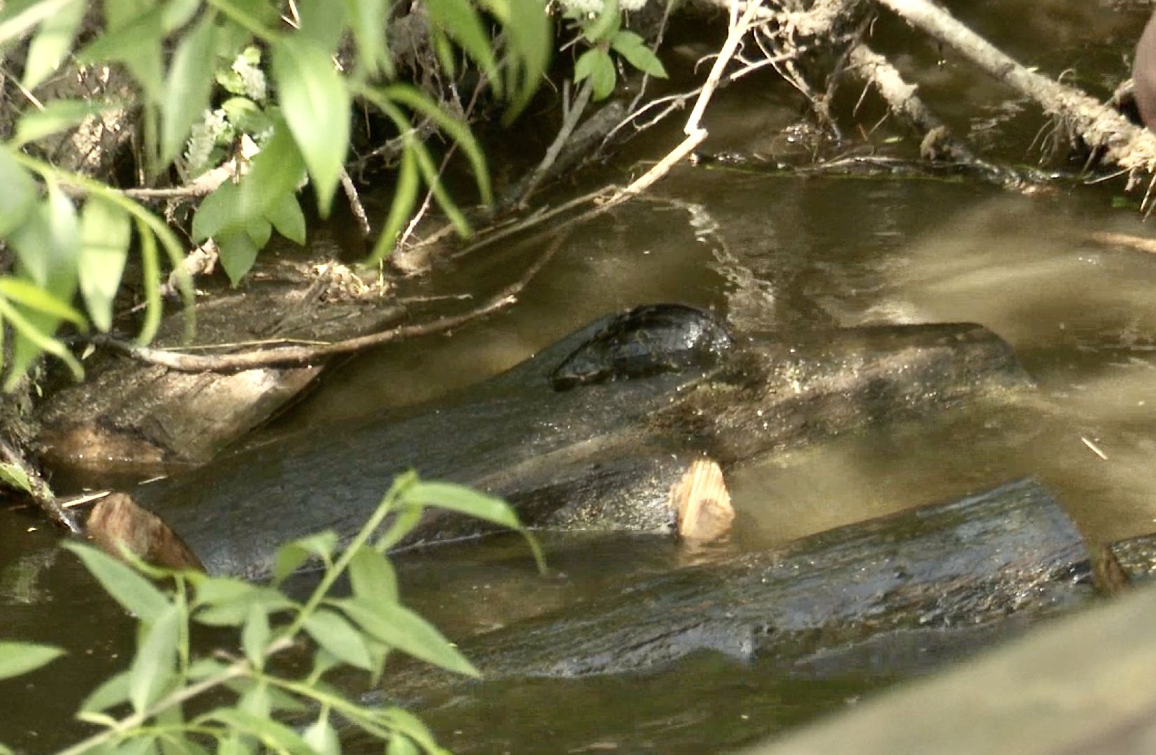 Клин, благоустройство, спасатели, расчистка рек