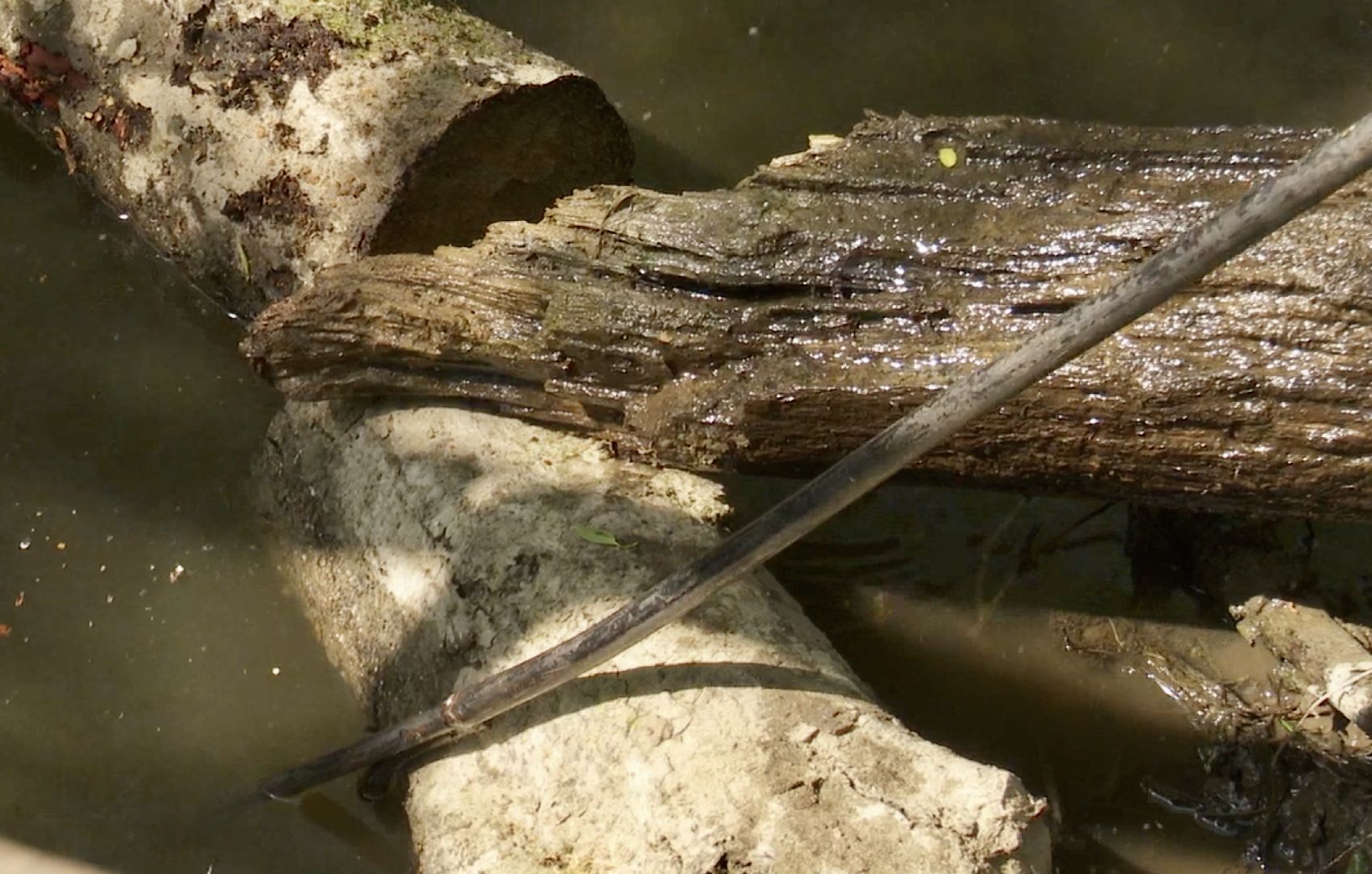 Клин, благоустройство, спасатели, расчистка рек