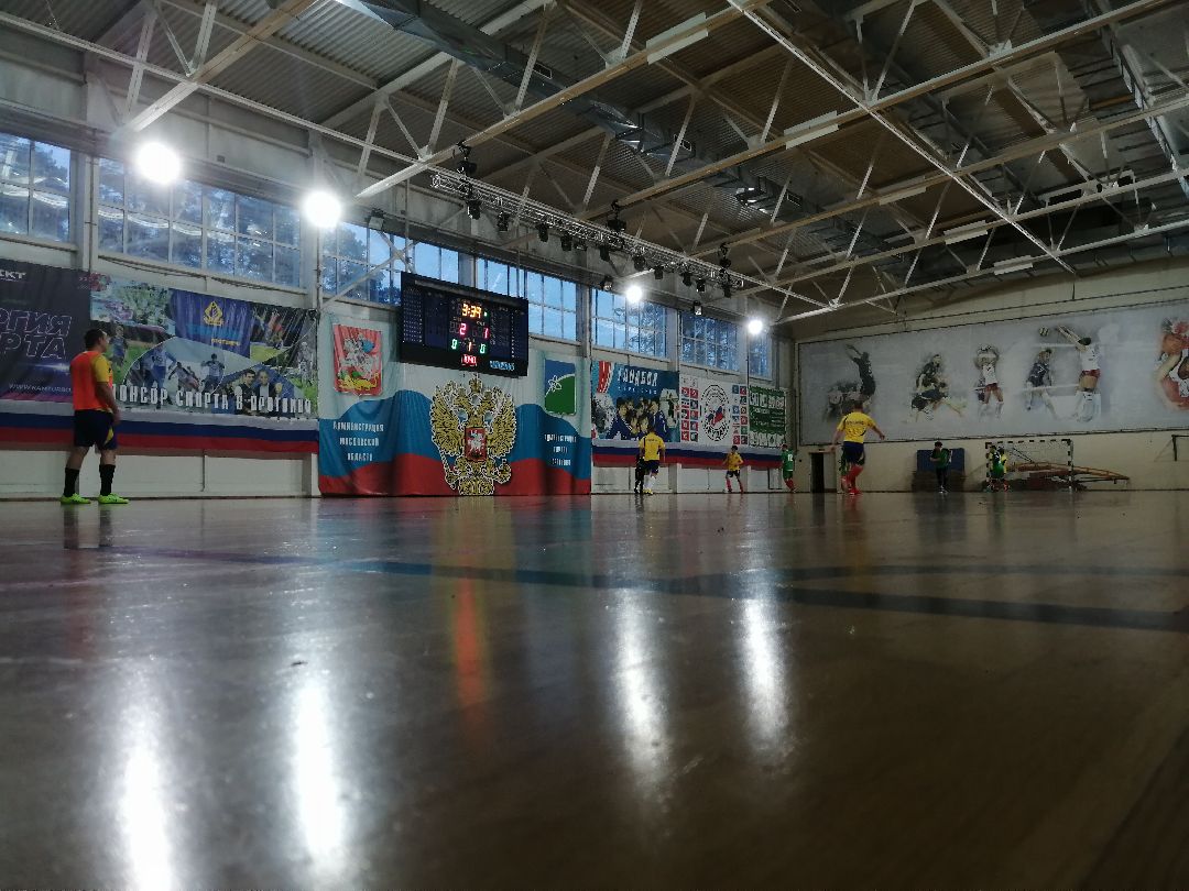 Протвино, спорт