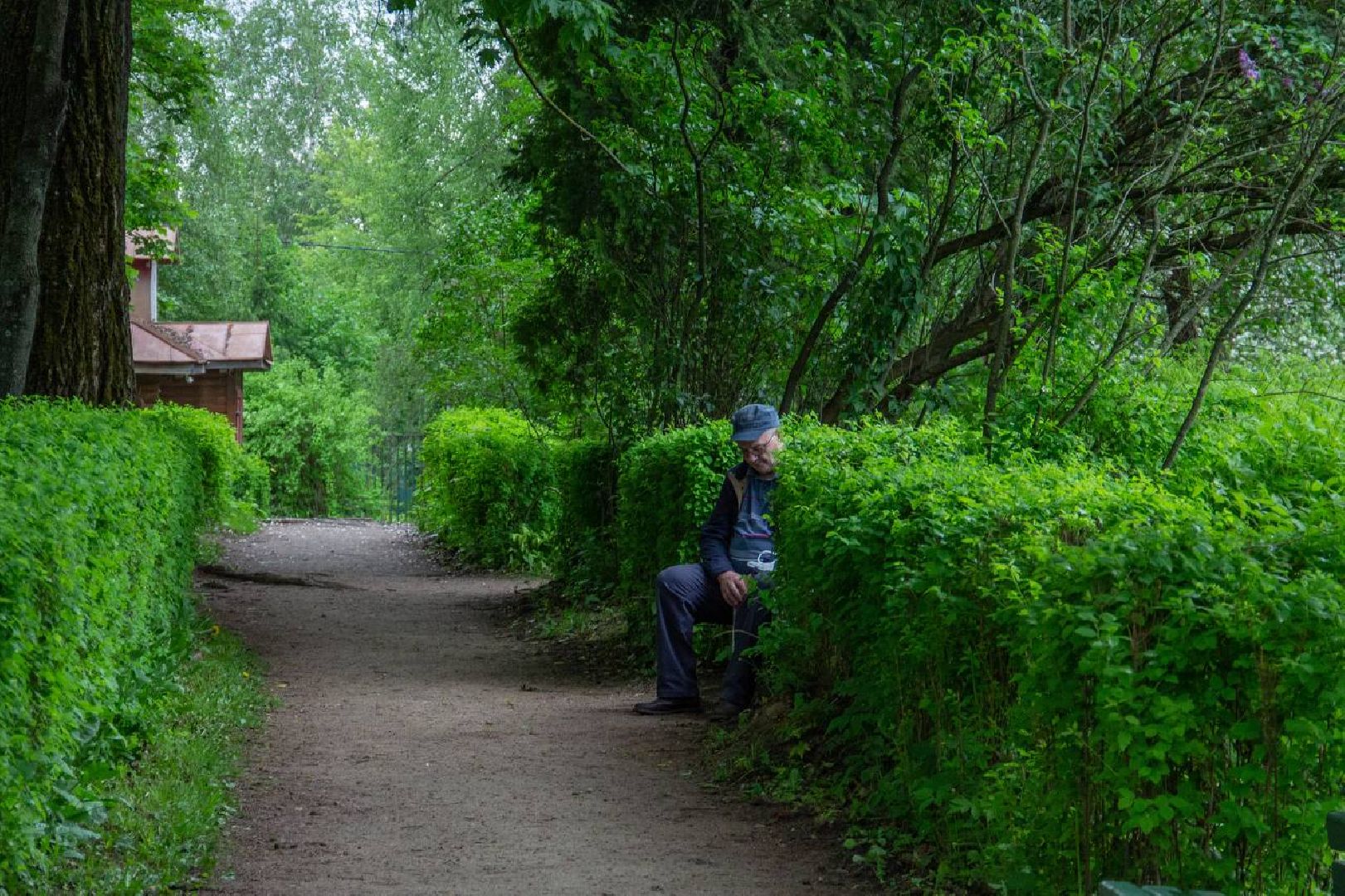 Подольск, глухие, спектакль