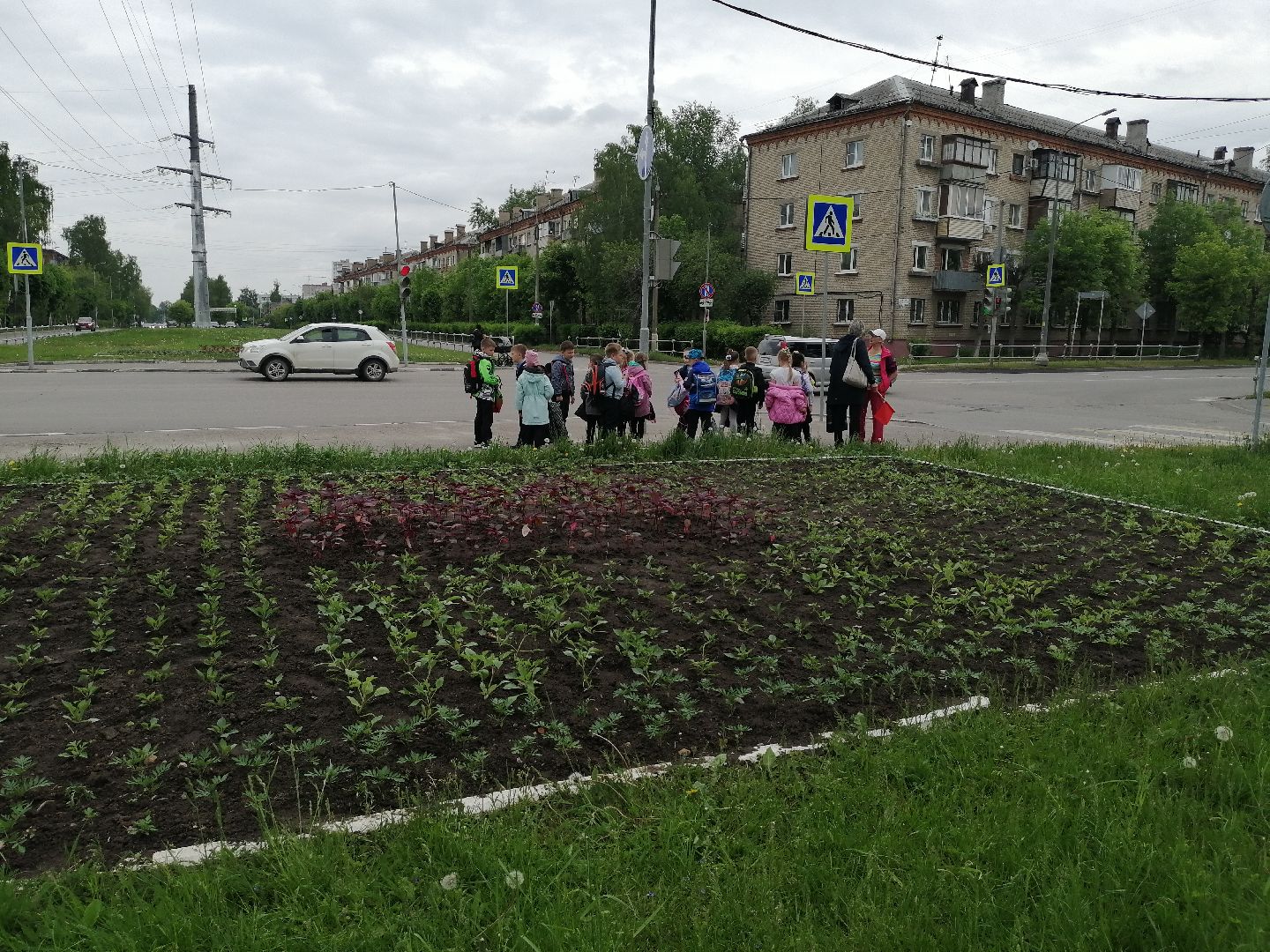 благоустройство, серпухов, клумбы, цветы, тюльпаны,